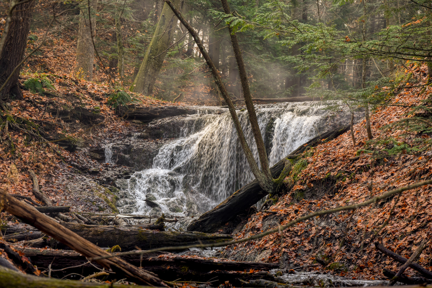 Weavers Creek Falls, Owen Sound Ontario Canada © Irwin Seidman