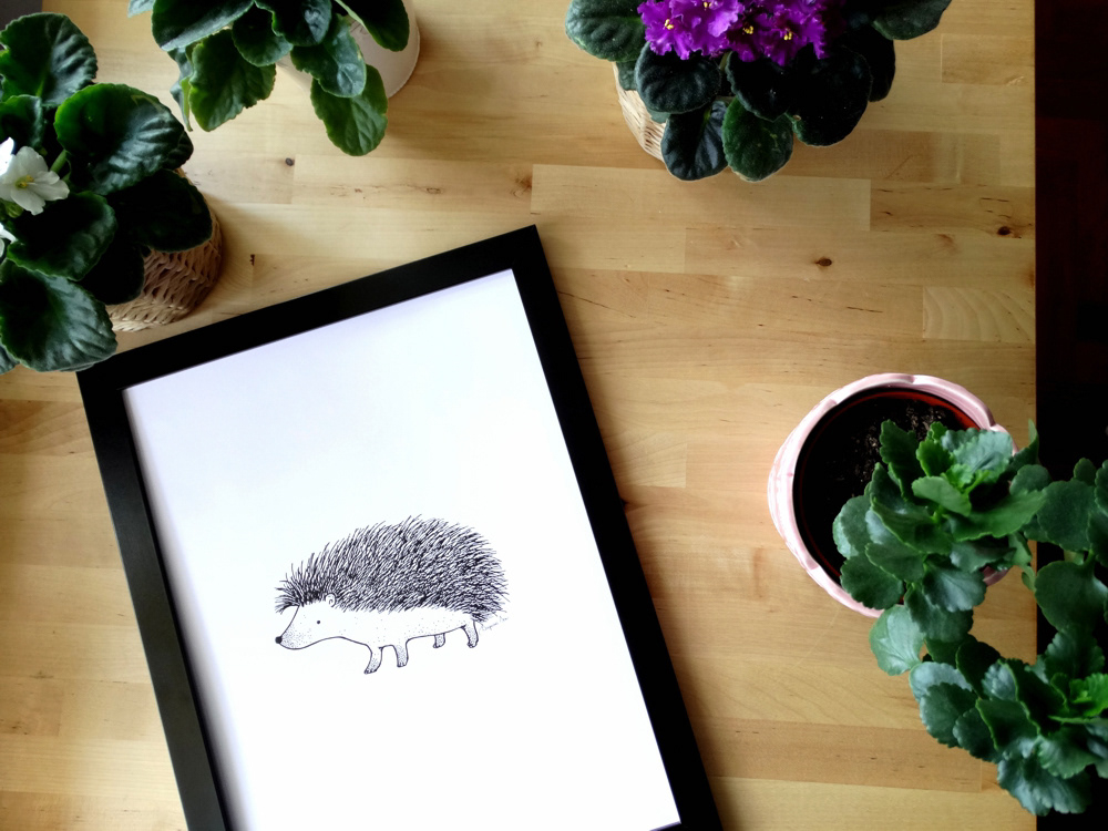 Hedgehog - poster