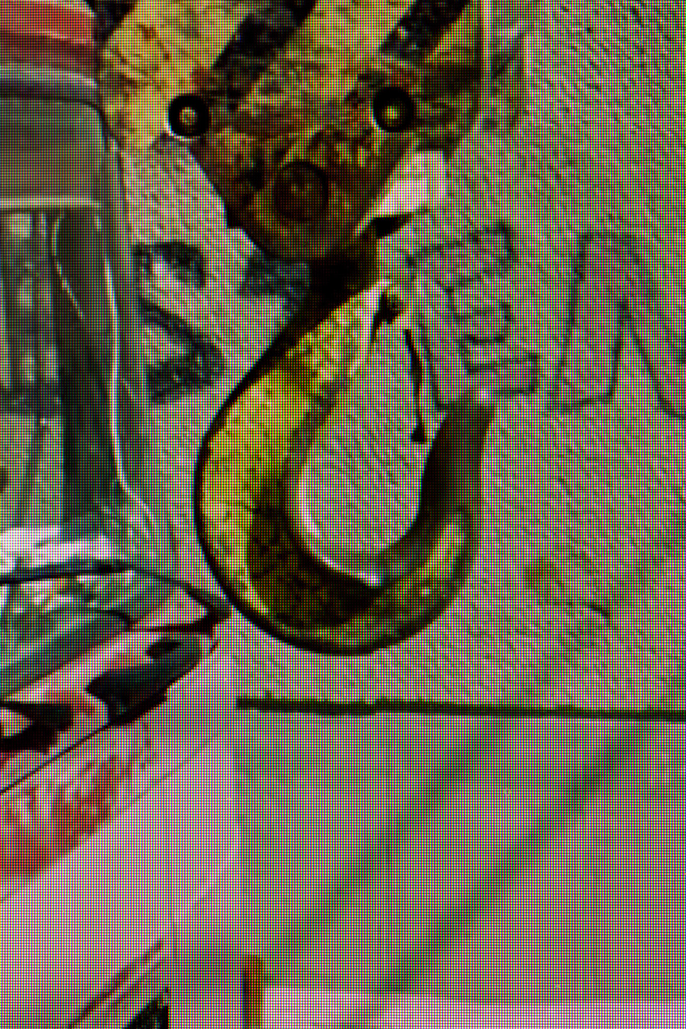 D55