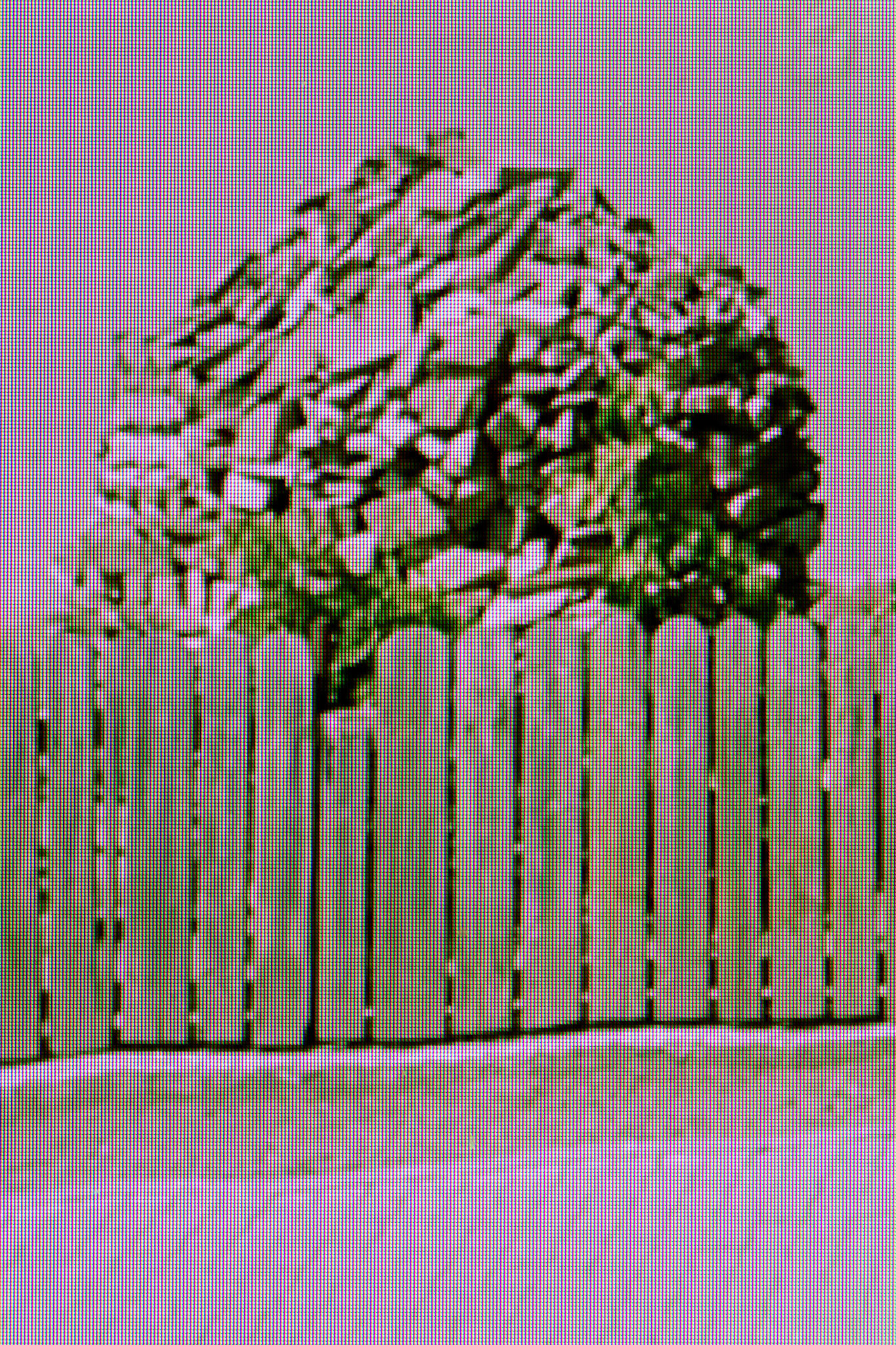 D55
