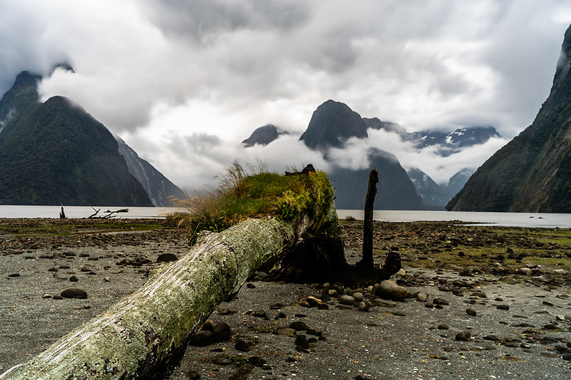New Zealand | Milford Sounds