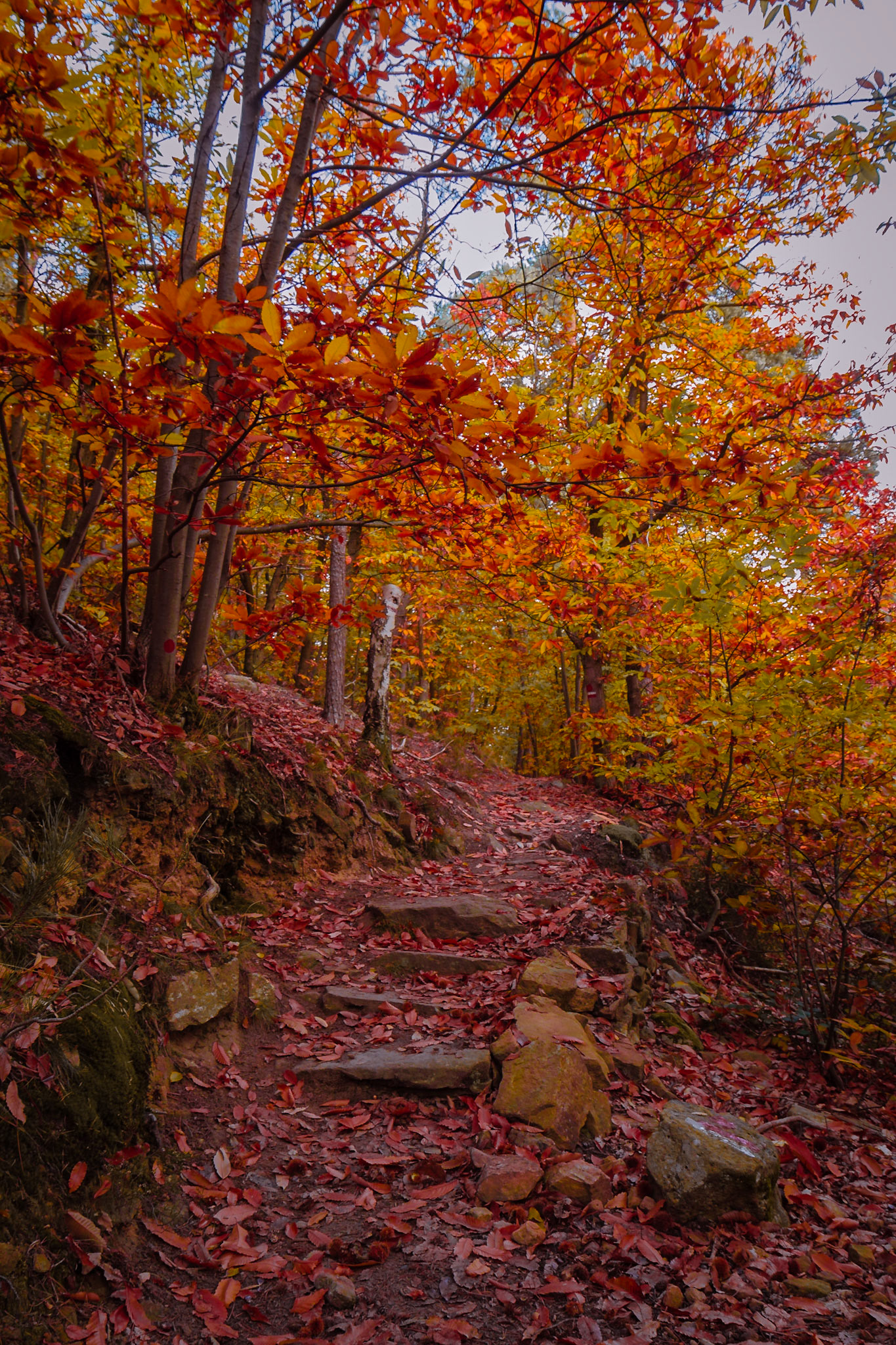 Herbst