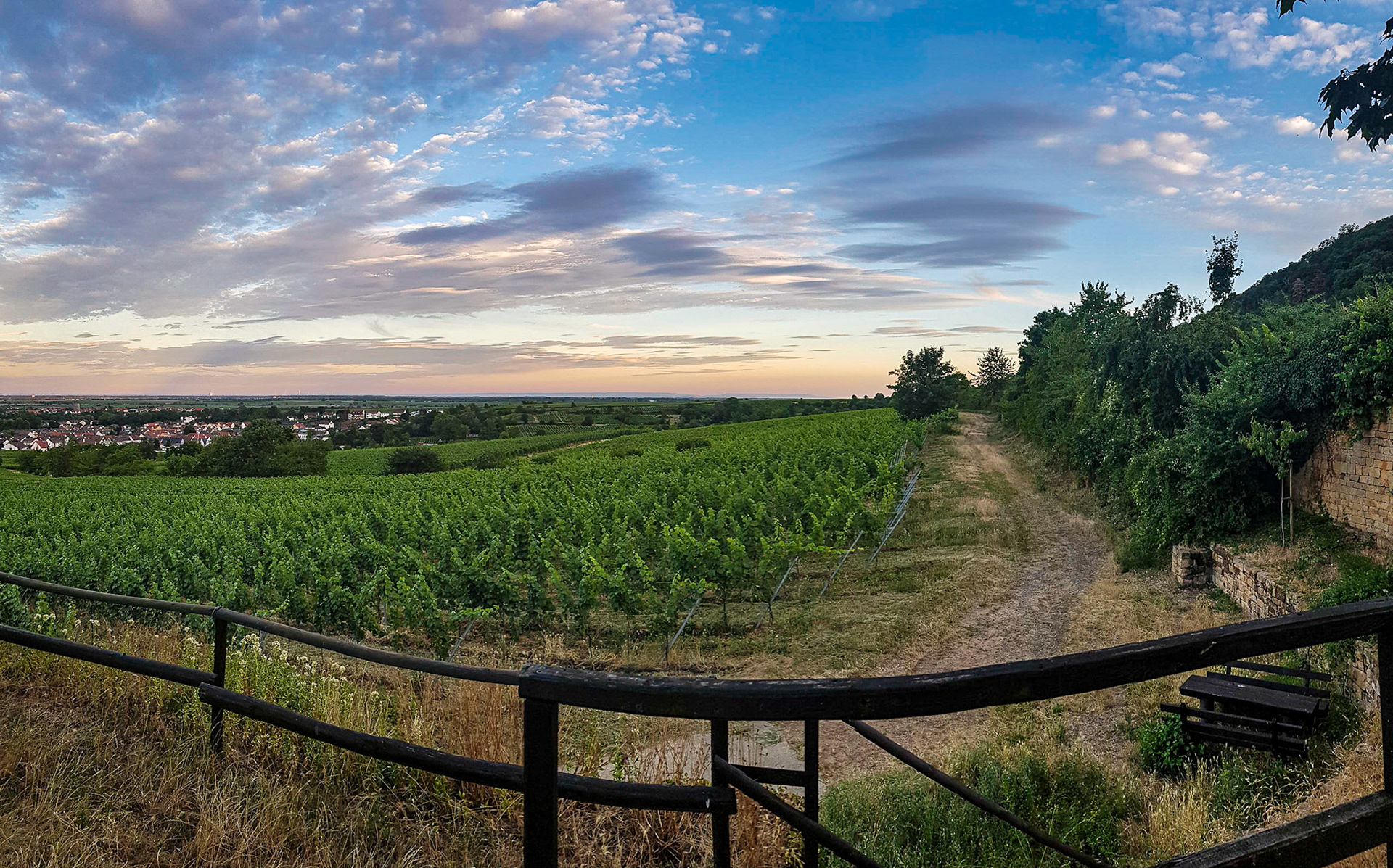 Deidesheim