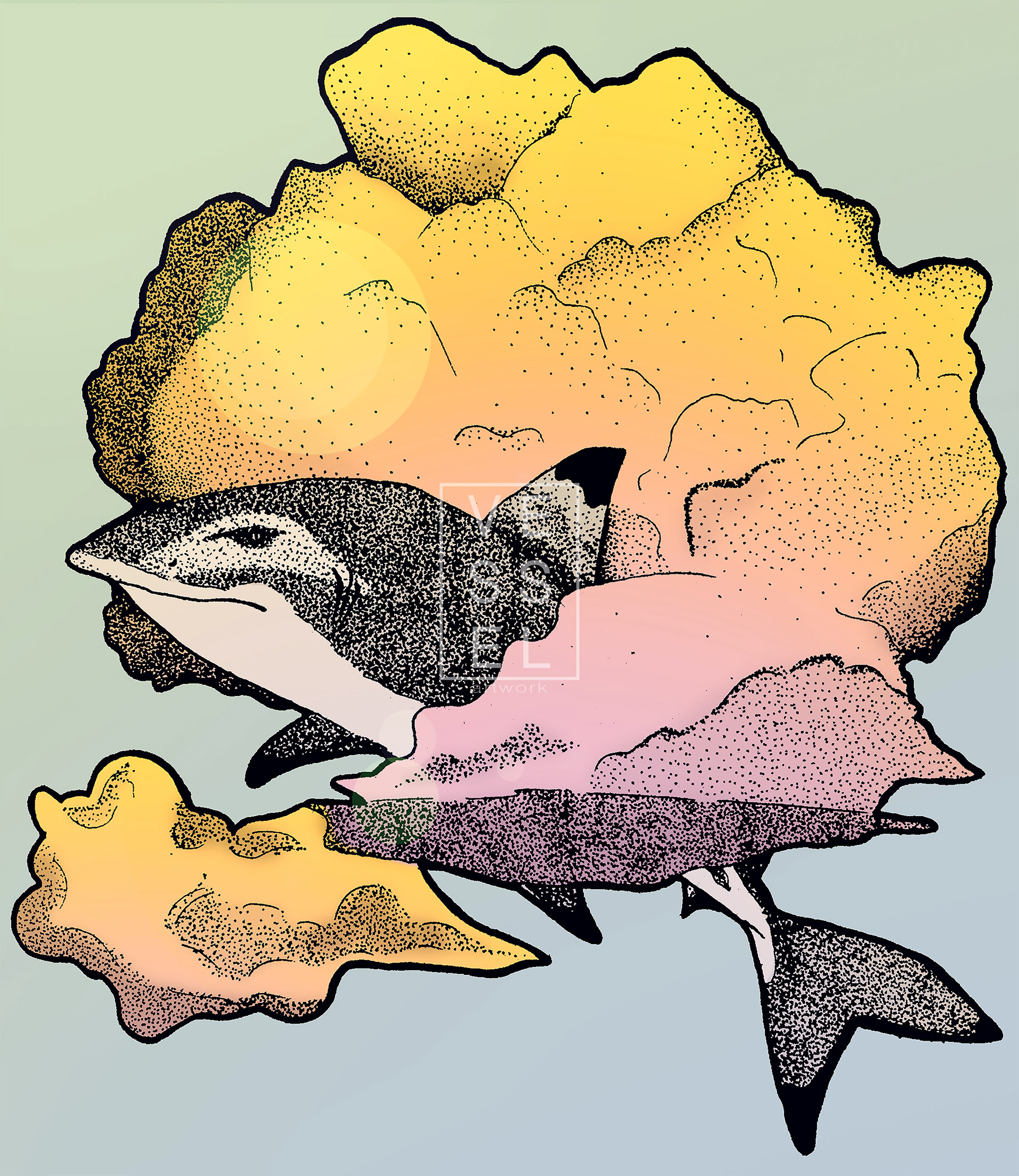 "Blacktip Shark Angel" 2018 originally hand drawn- coloured digitally*