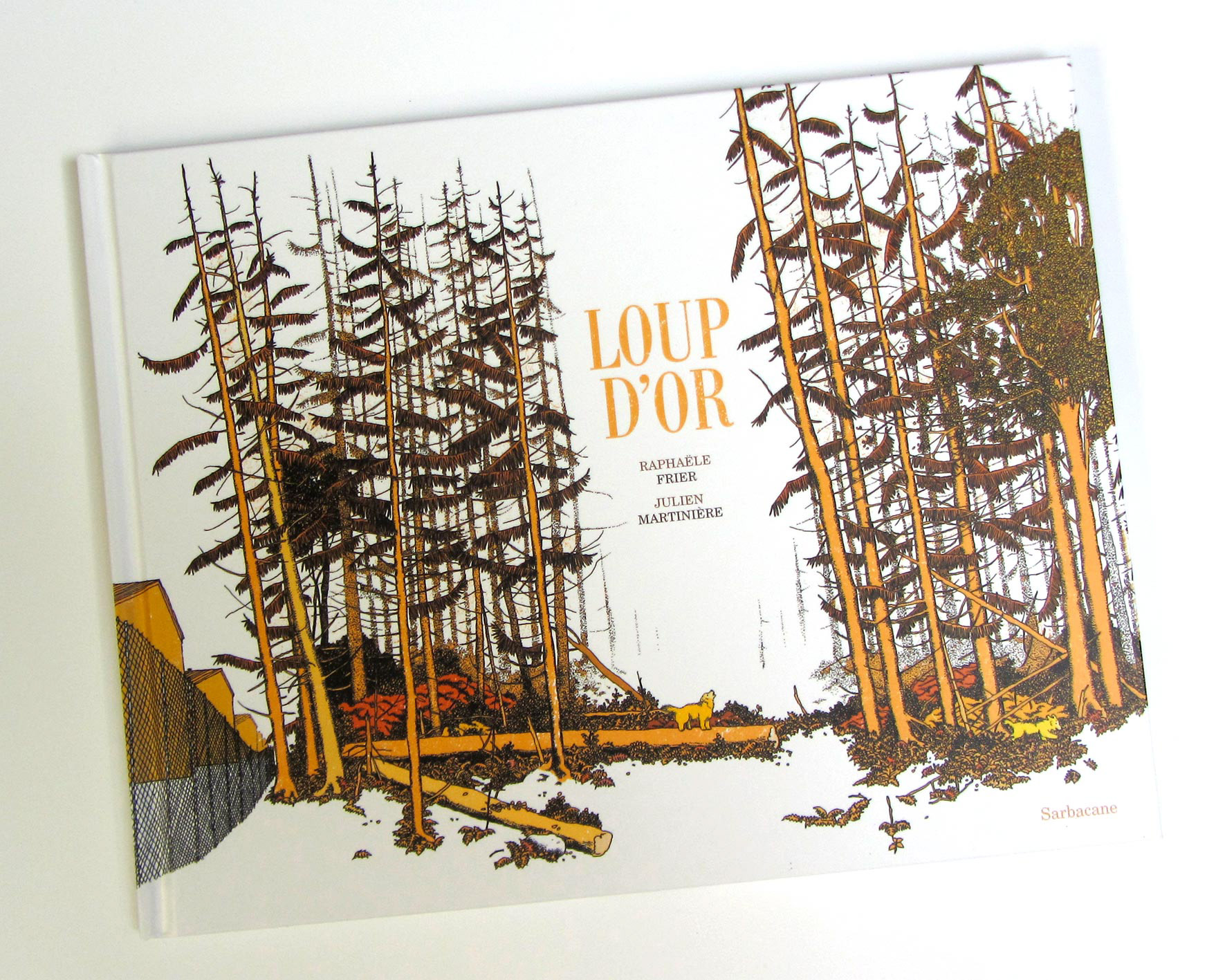 Loup d'or | 29,7 x 23 cm | cartonné | éditions sarbacane | 2020 | ean : 9782377314096