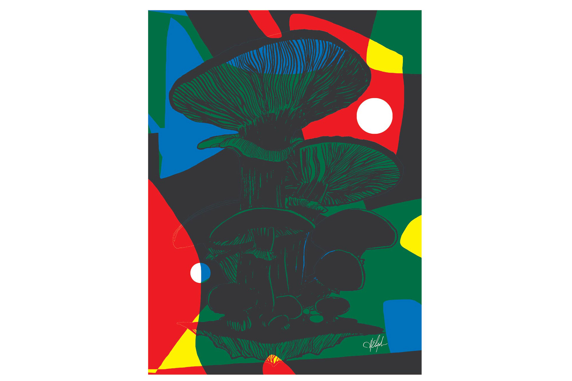 Illustration created through color separation