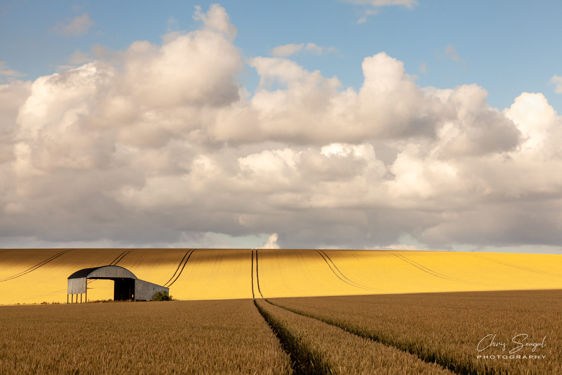 The Barn