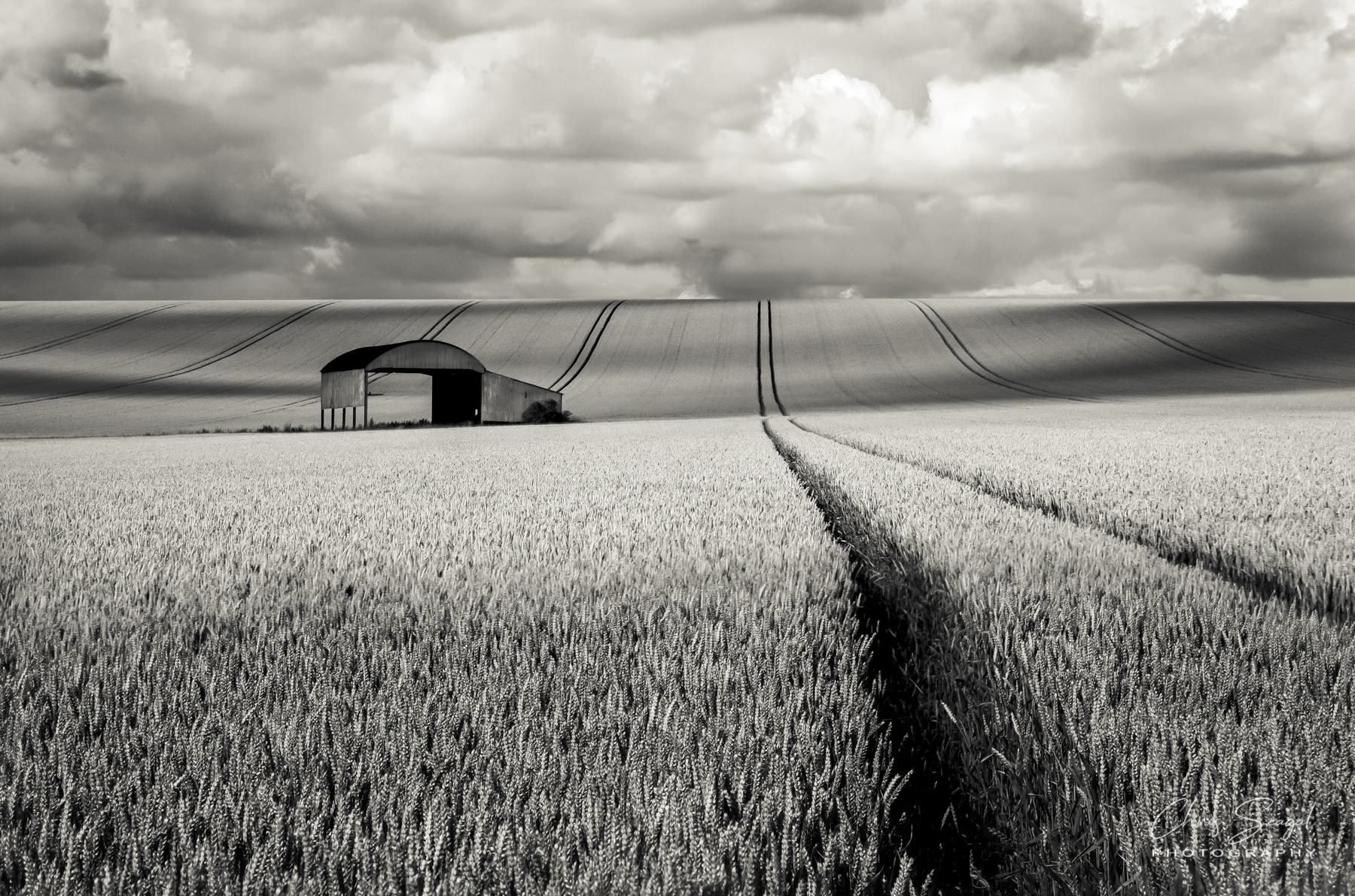 Sixpenny Handley Monochrome