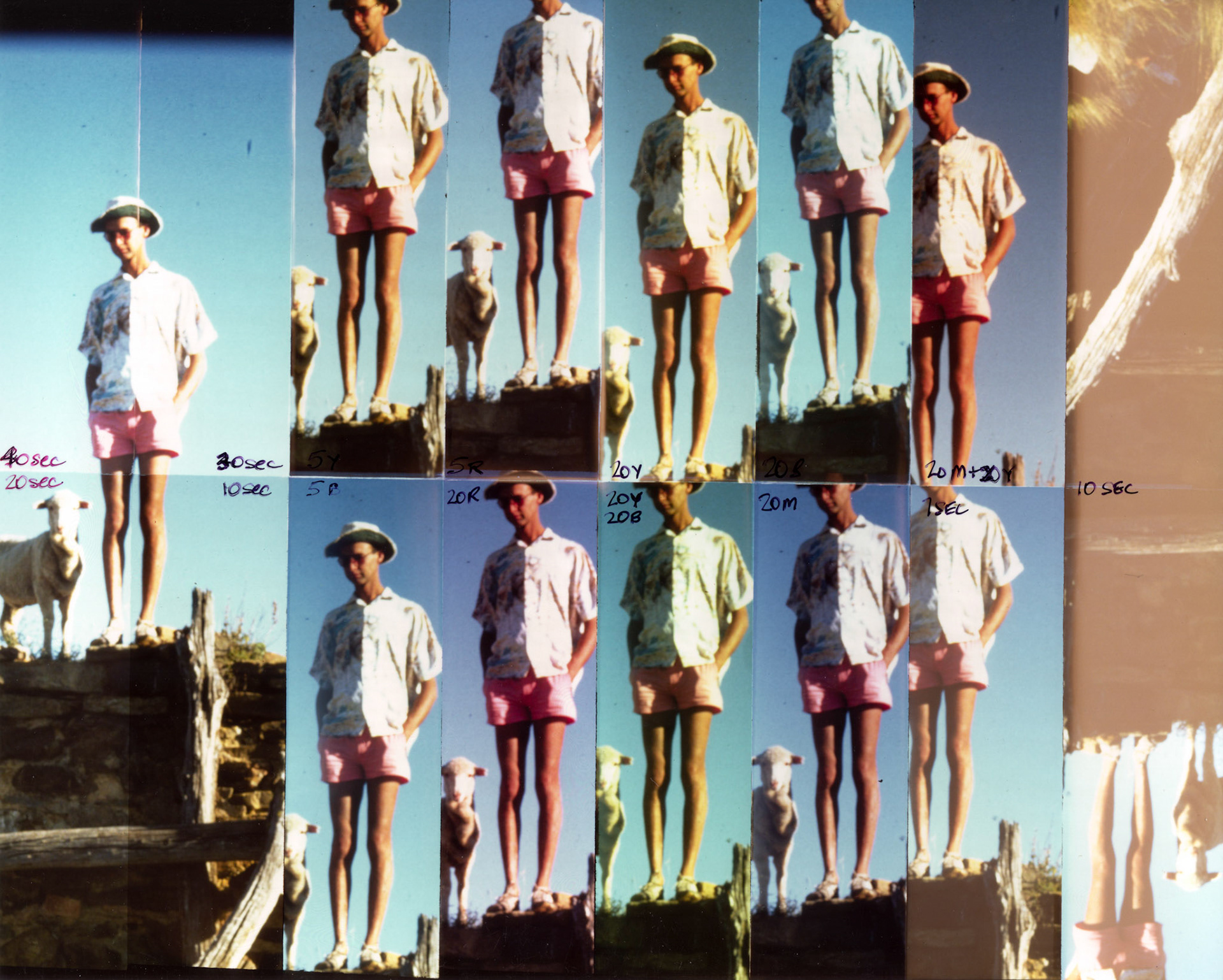 'pling - assorted prints