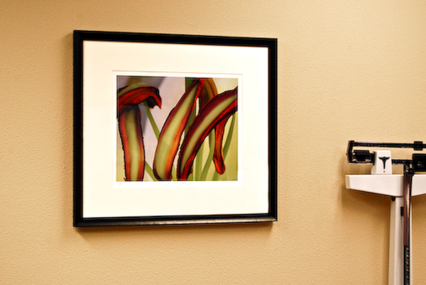 Classically Framed Art - Cardiology Associates