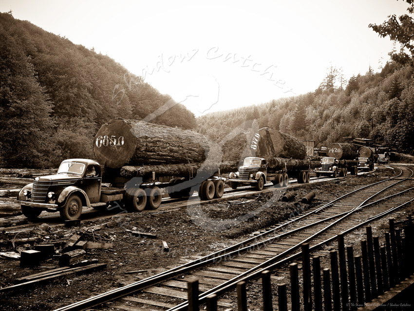 Colored Sepia from Black & White Original