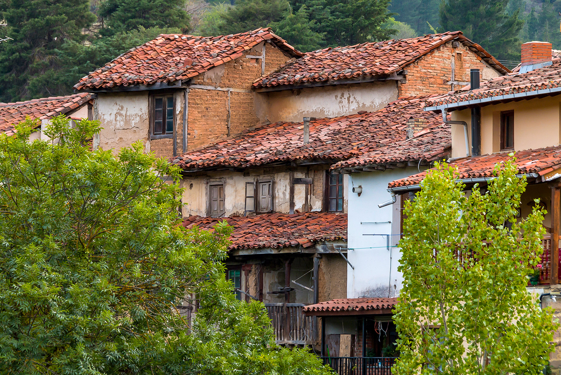Potes