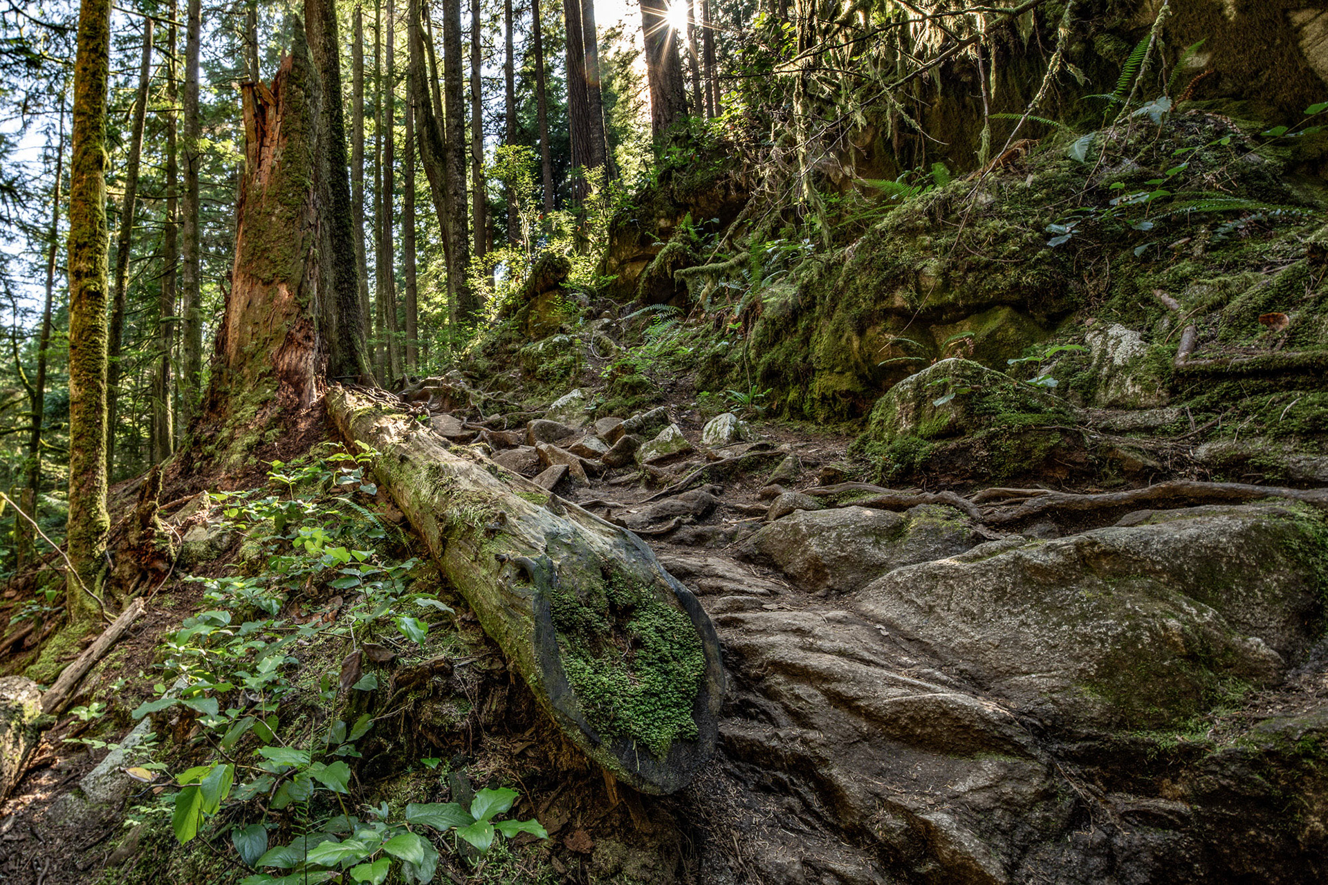 Cypress Falls Park, West Vancouver 2019