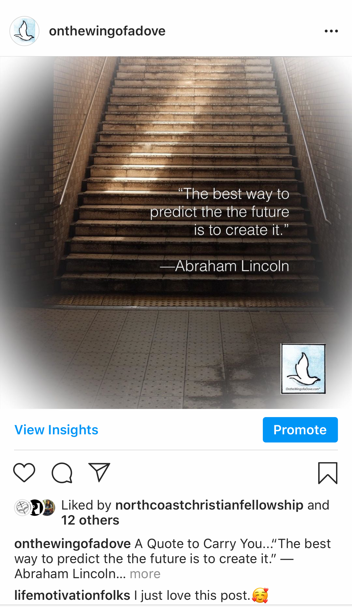 On the Wing of a Dove (Instagram)