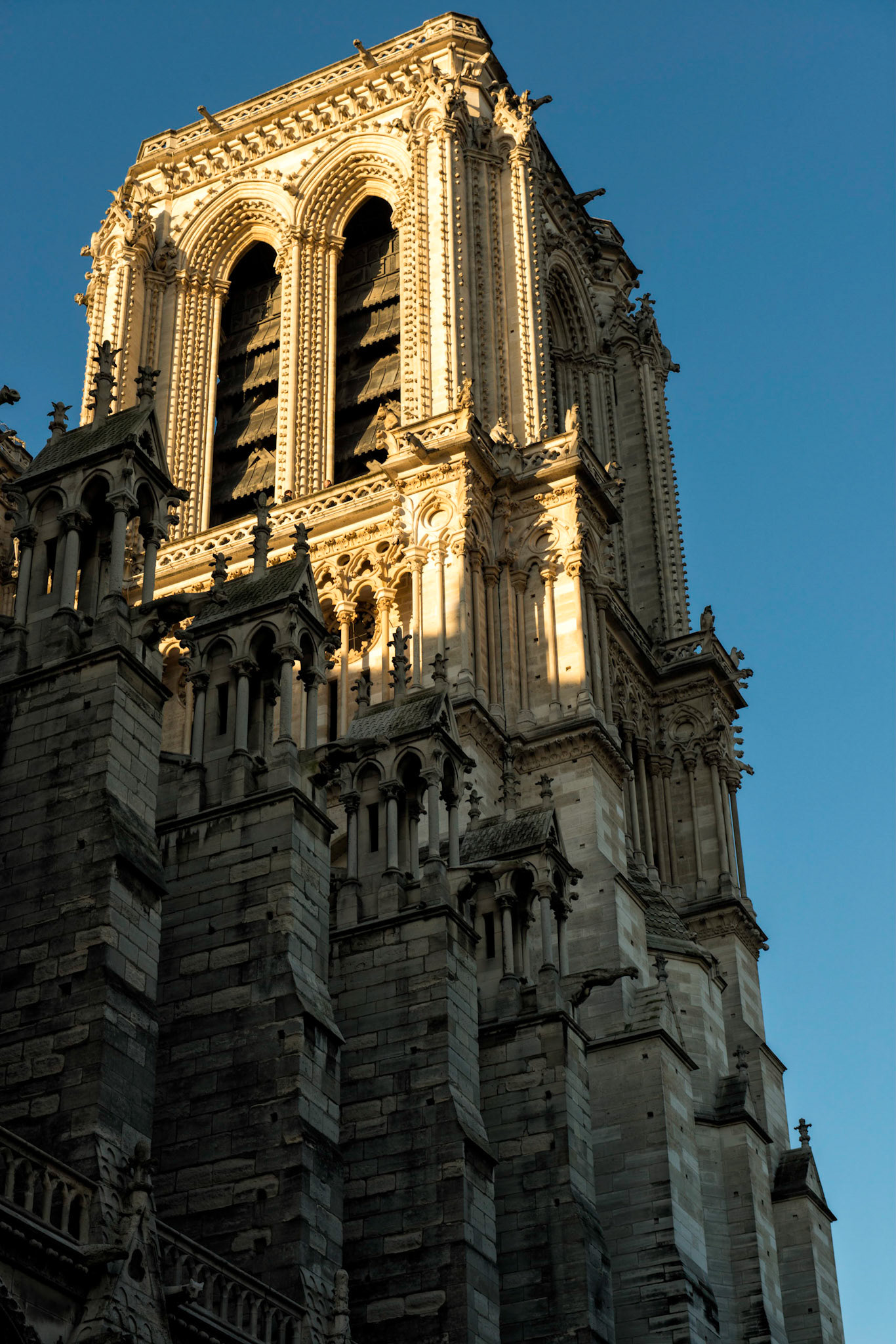 Notre-Dame Tower - Paris, France
