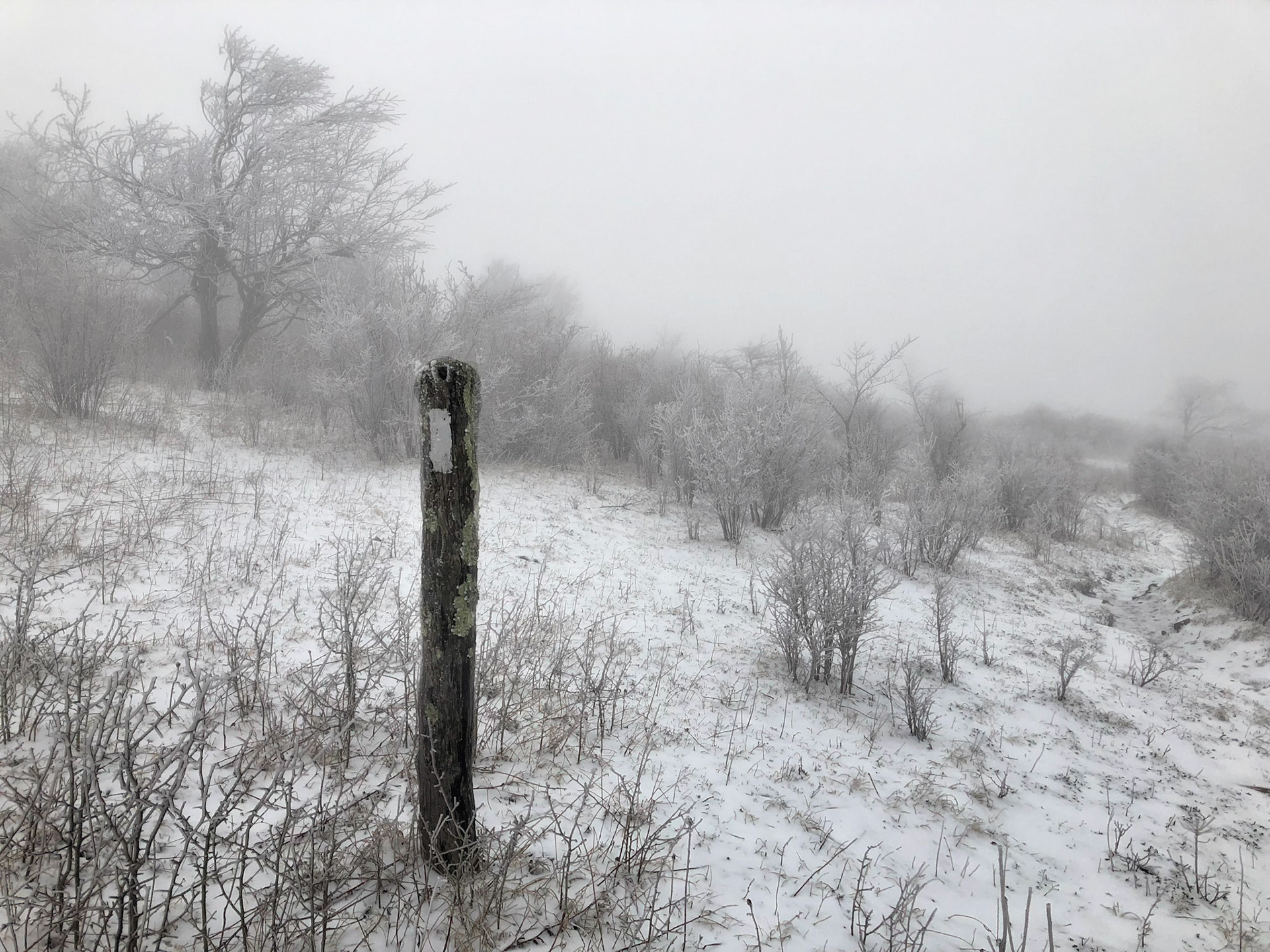 Grayson Highlands, VA