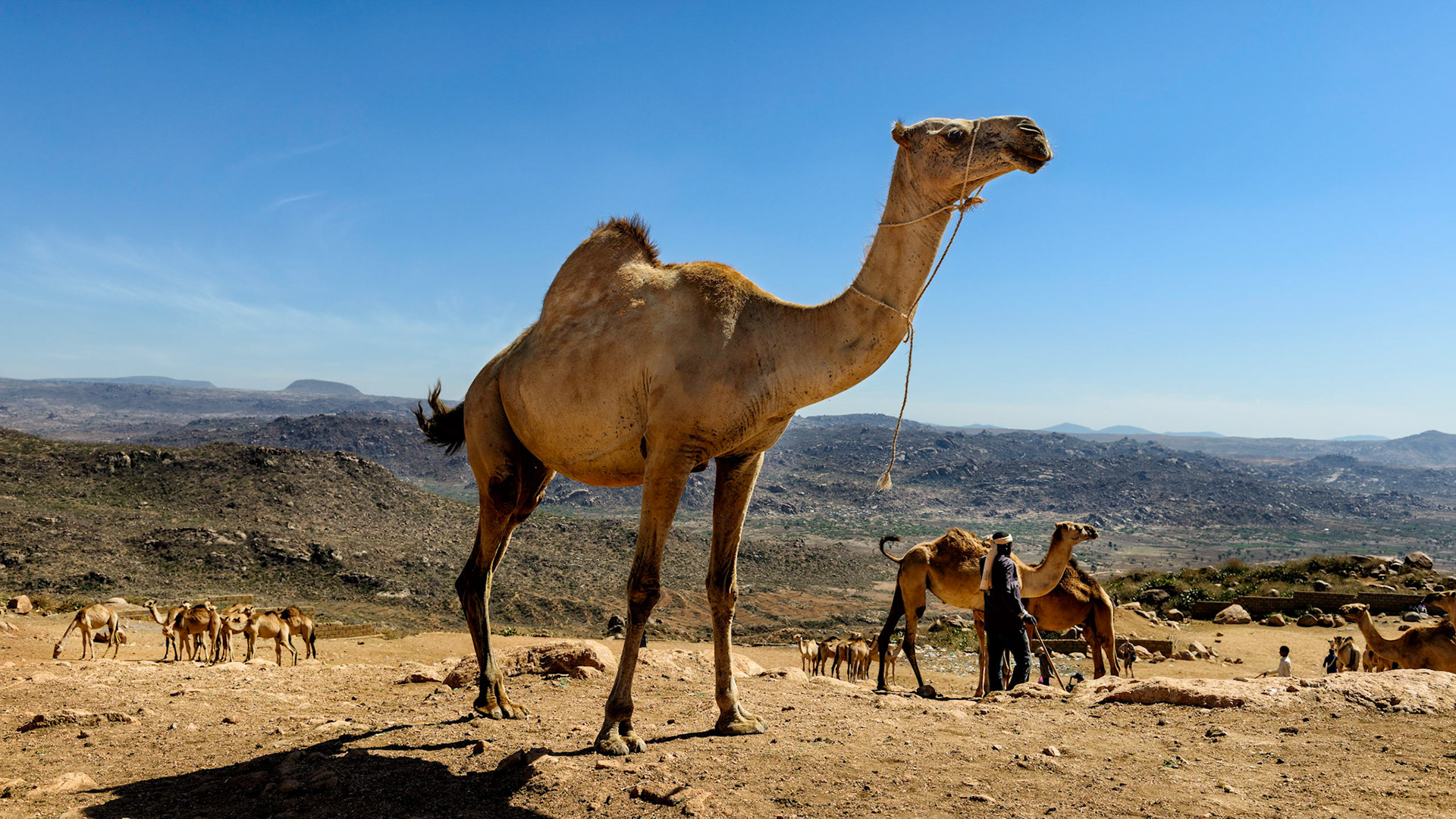 Andrew Rosser - Ethiopia - Harar