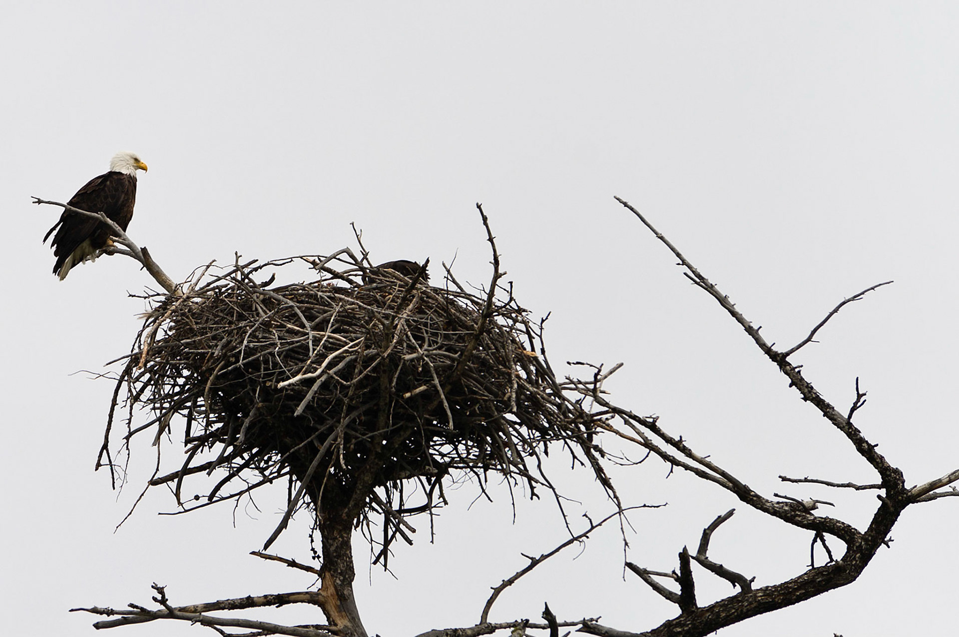 Yellowstone National Park, Wyoming