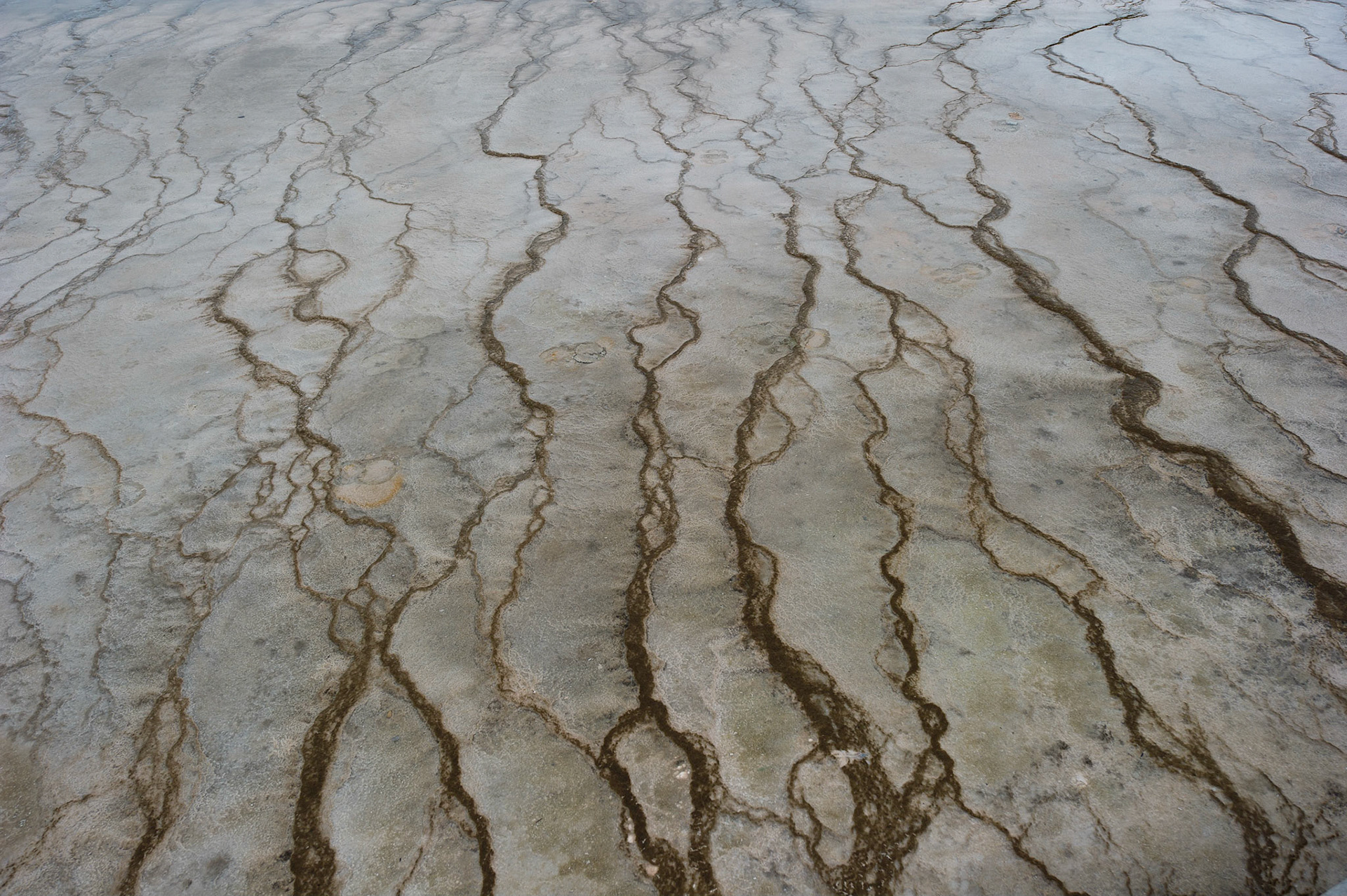 Excelsior Geyser Crater 2 - Yellowstone, Montana