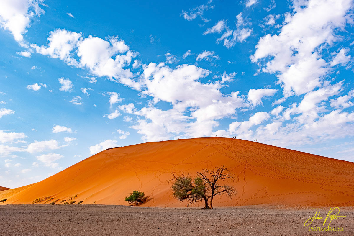 Sossusvlei Dunes, Namibia, Africa