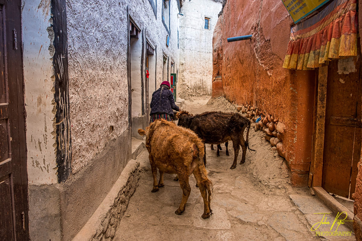 Lo Mantang, Mustang District, Nepal