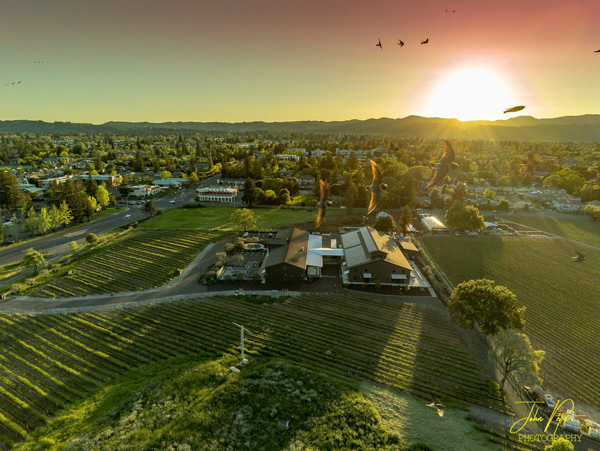 Eleven Eleven Winery, Napa, California, USA