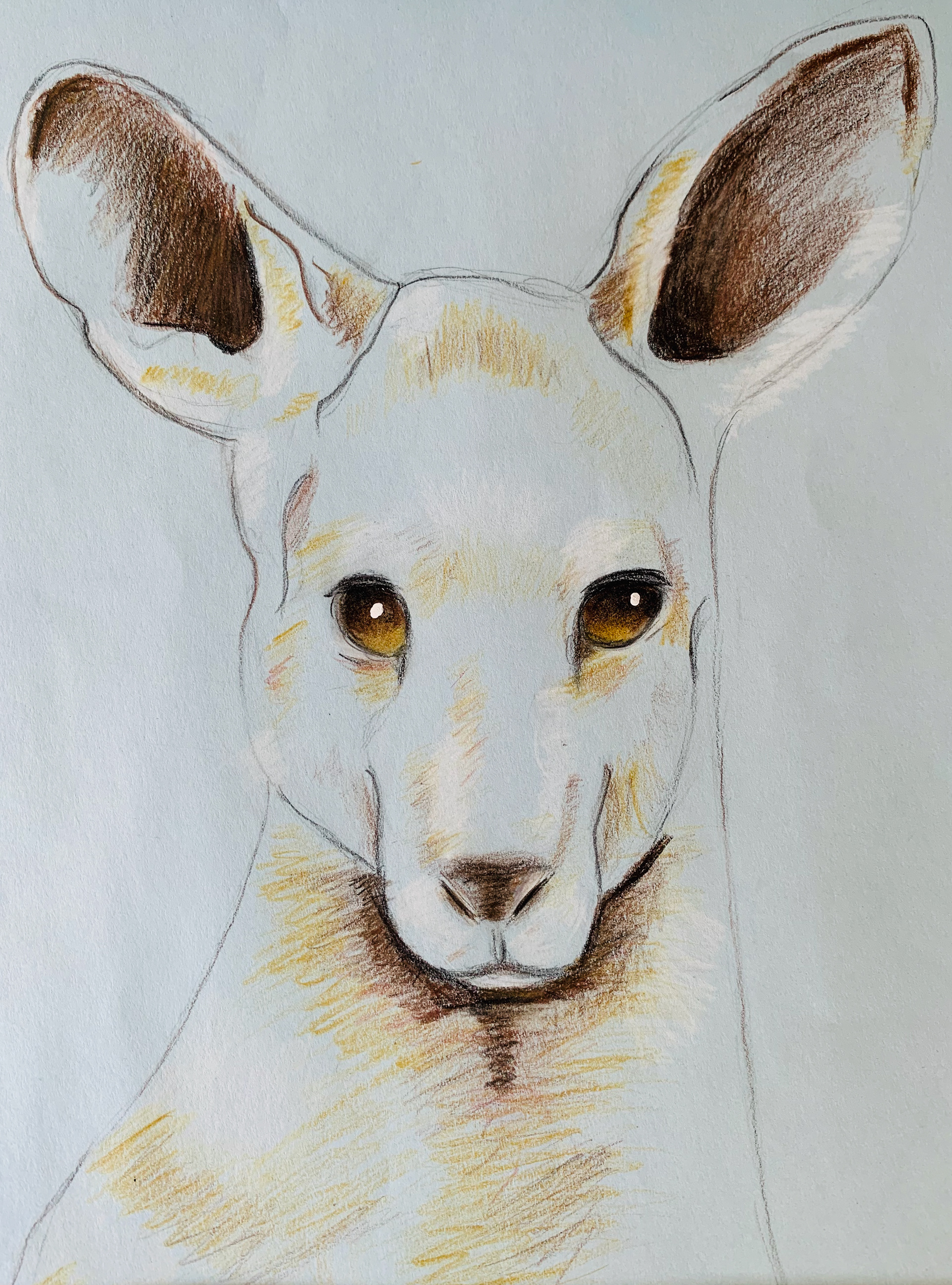 "DEER"