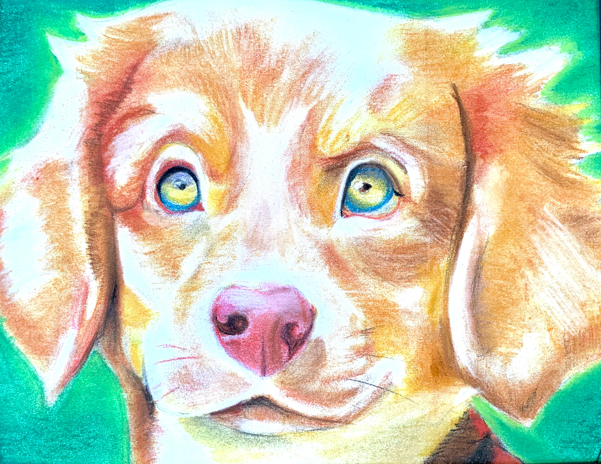 "PORTRAIT OF A DOG"