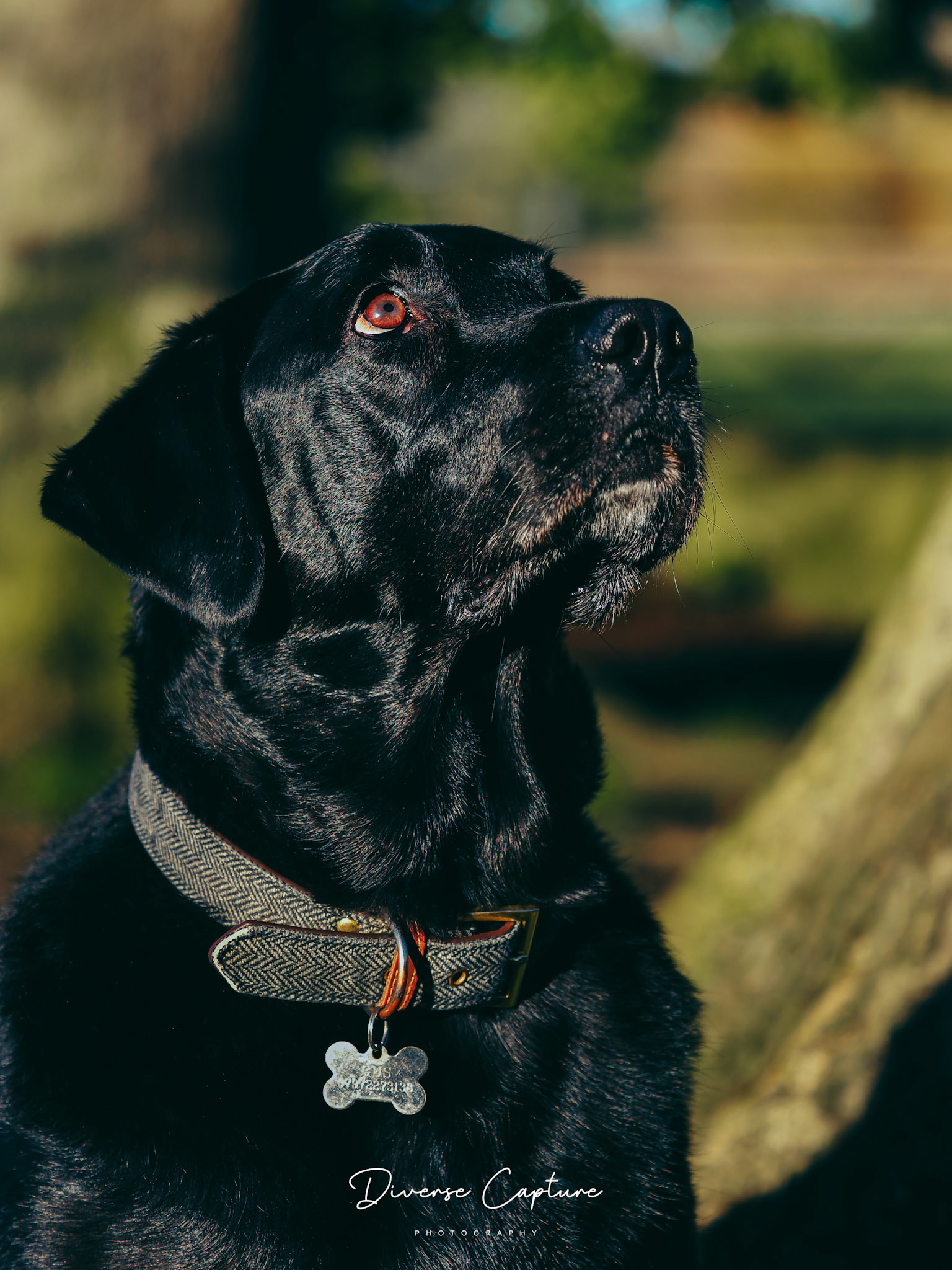 Portrait photographer Sudbury, Suffolk