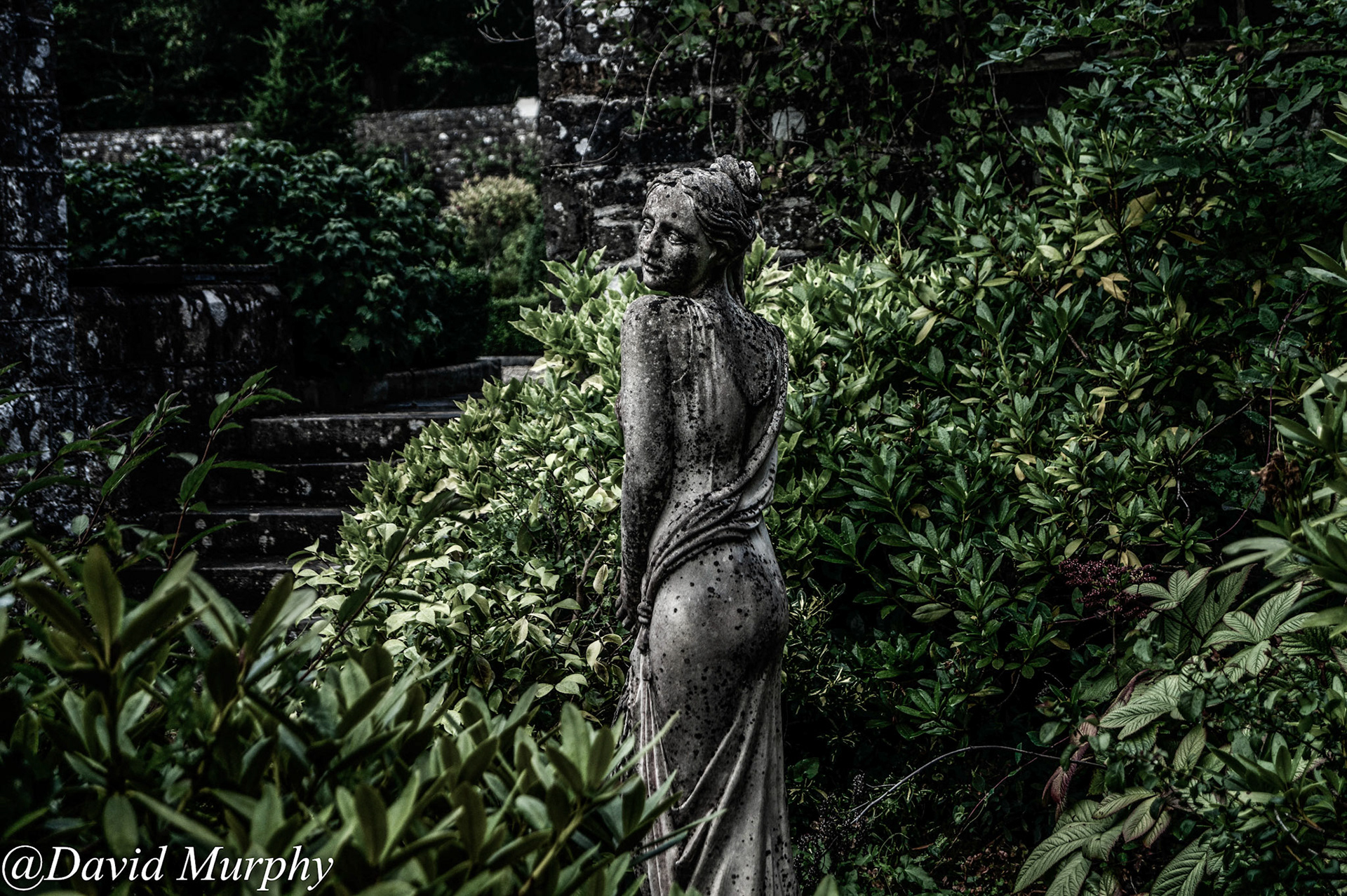Garden of Stone.