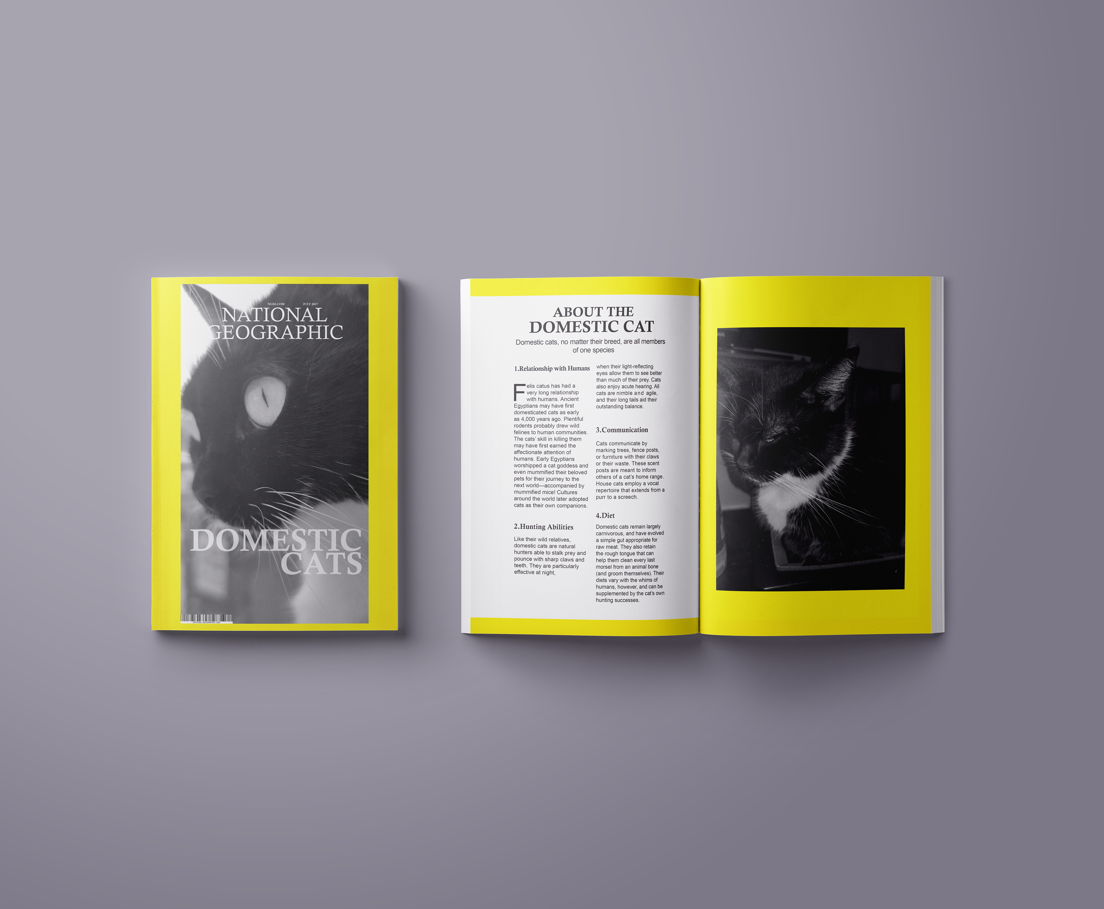 Kilana Mitchell - Magazine