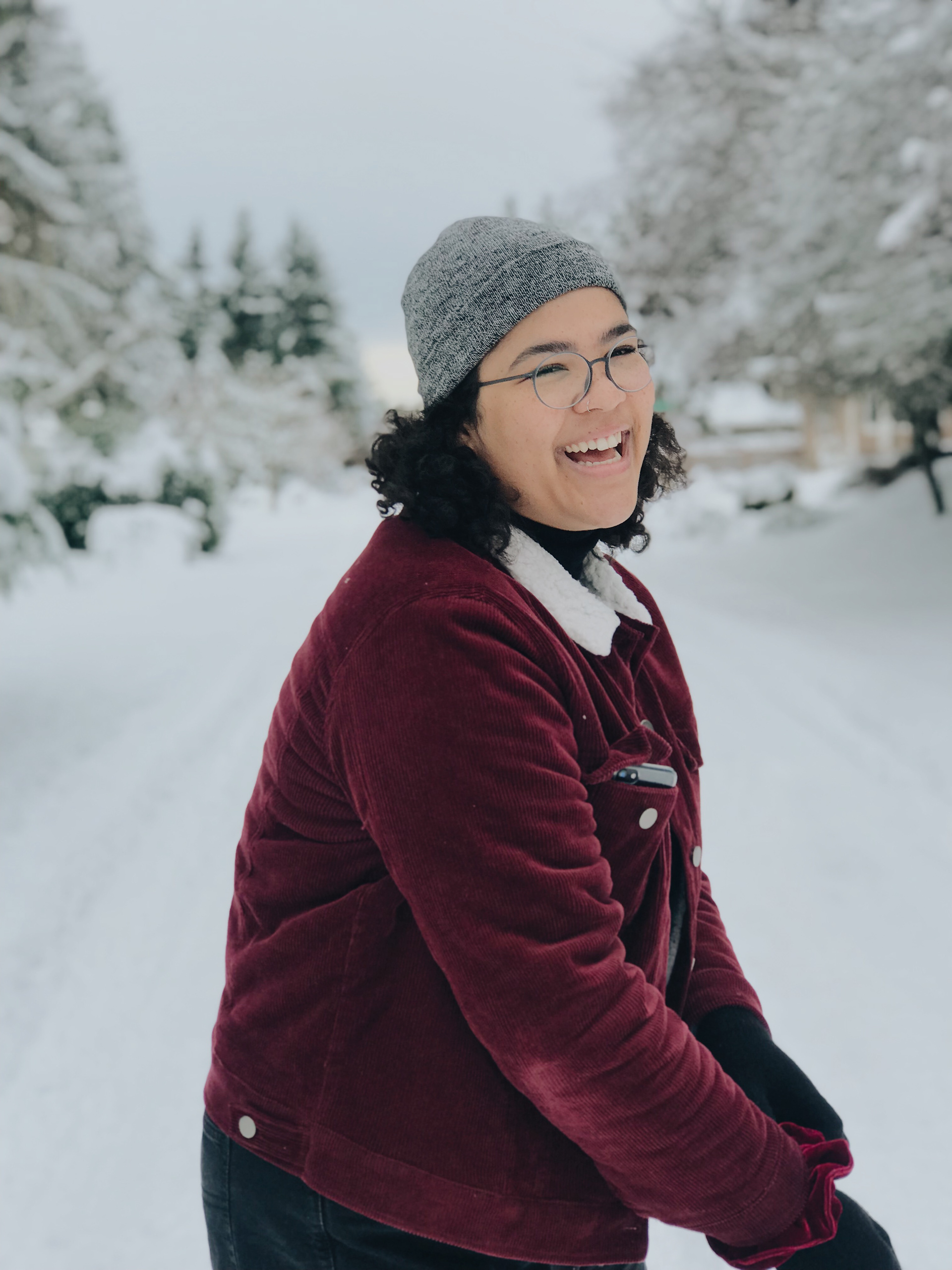 Snowmageddon, Seattle 2019