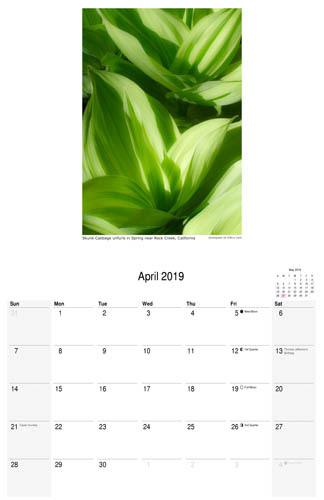April 2019 scenic calendar, nature photograph