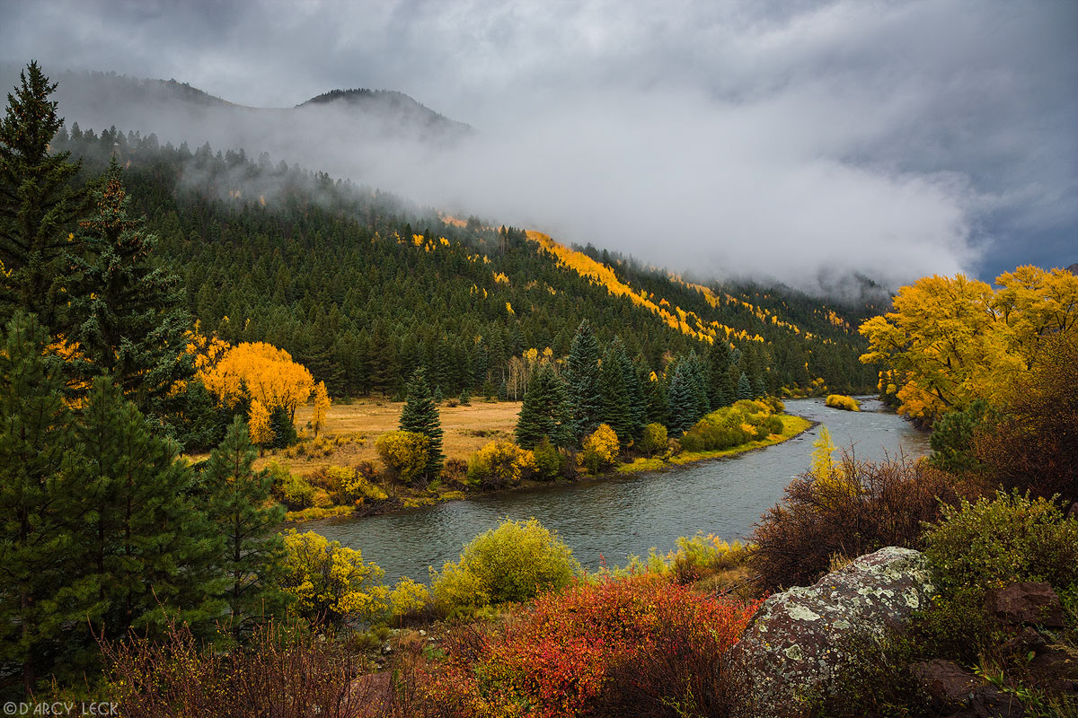 Rio Grande River flows by the cloud enshrouded Rio Grande Pallisades after a rain storm wets cottonwood trees and bushes with autumn foliage colors, Colorado