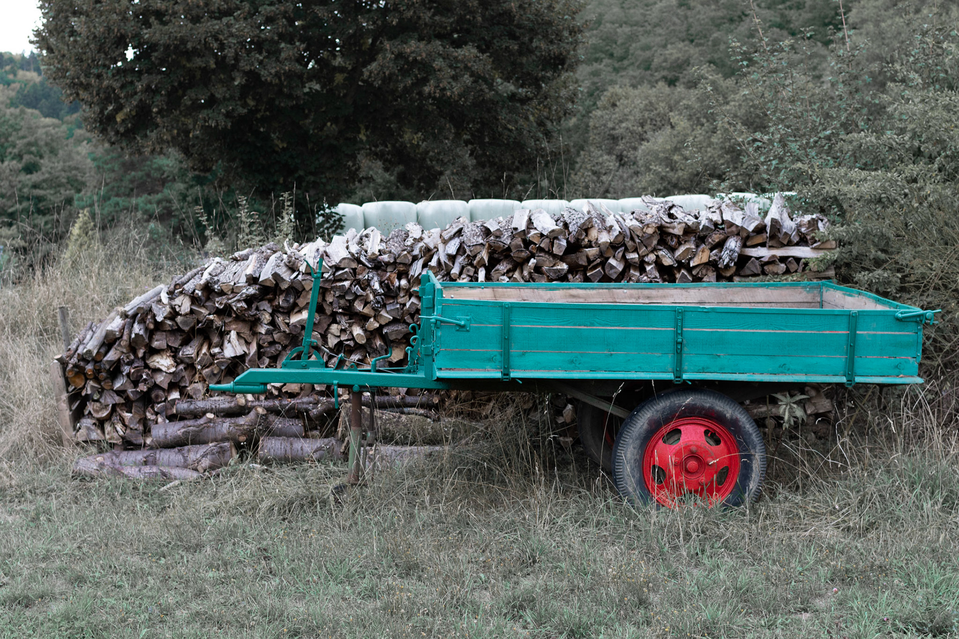Anhänger vor Brennholz