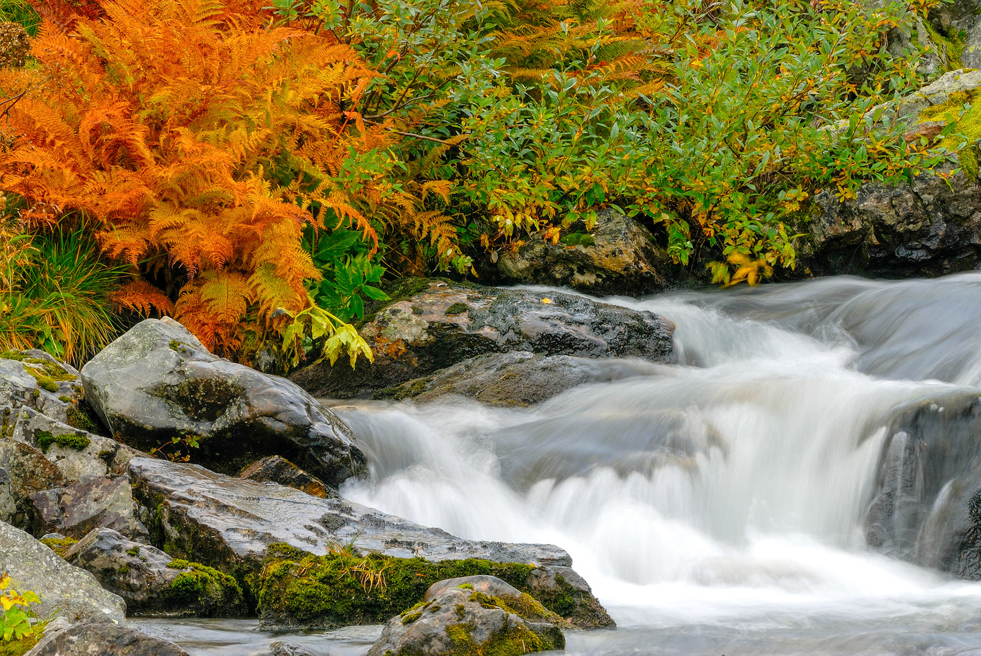 Vattendraget nedanför Silverfallet i Grövelsjöfjällen