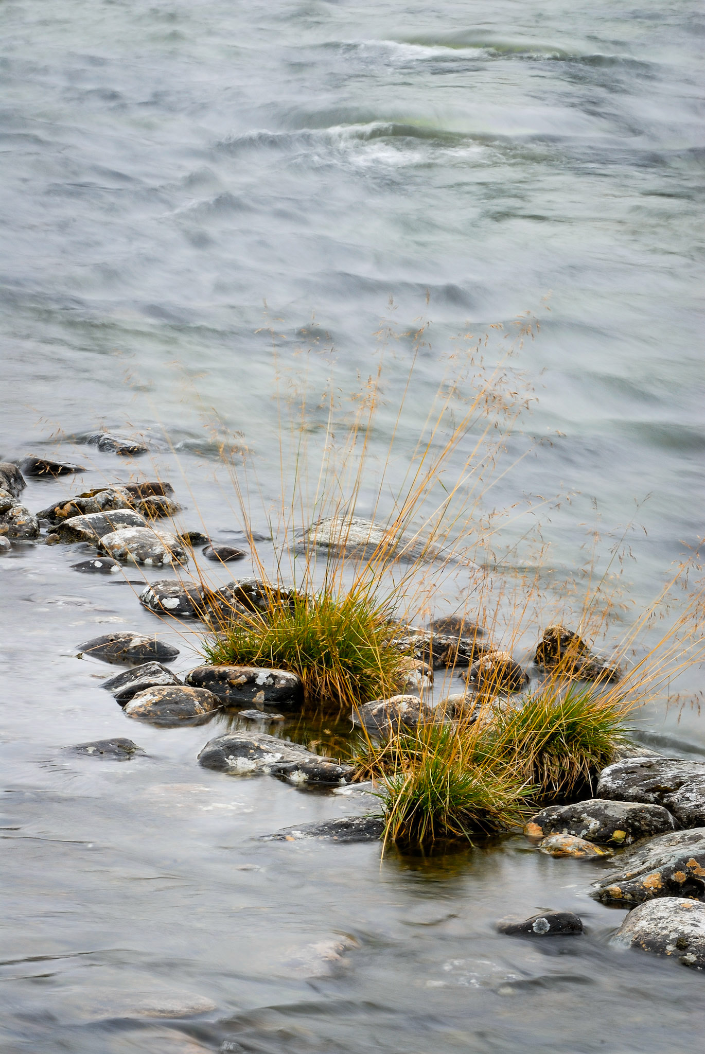 Grövlan vid grövelsjön