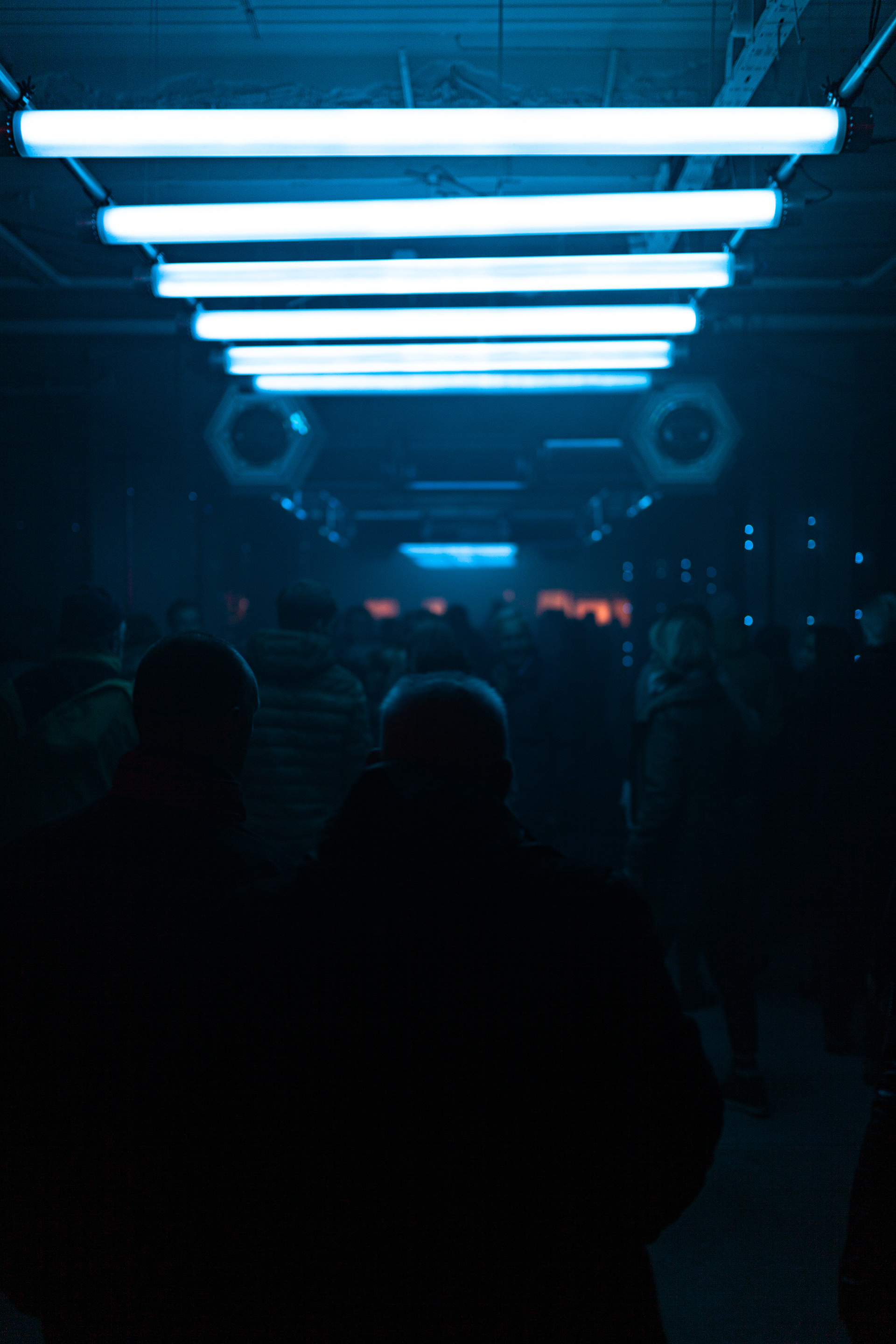 sander van der velden GLOW