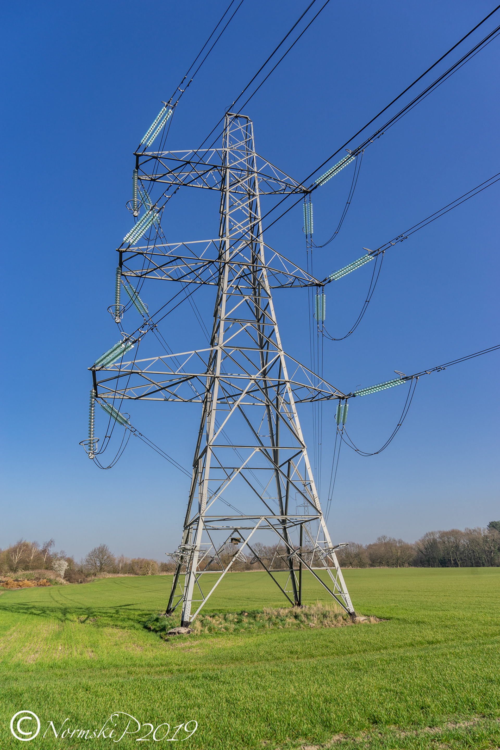 Pylon