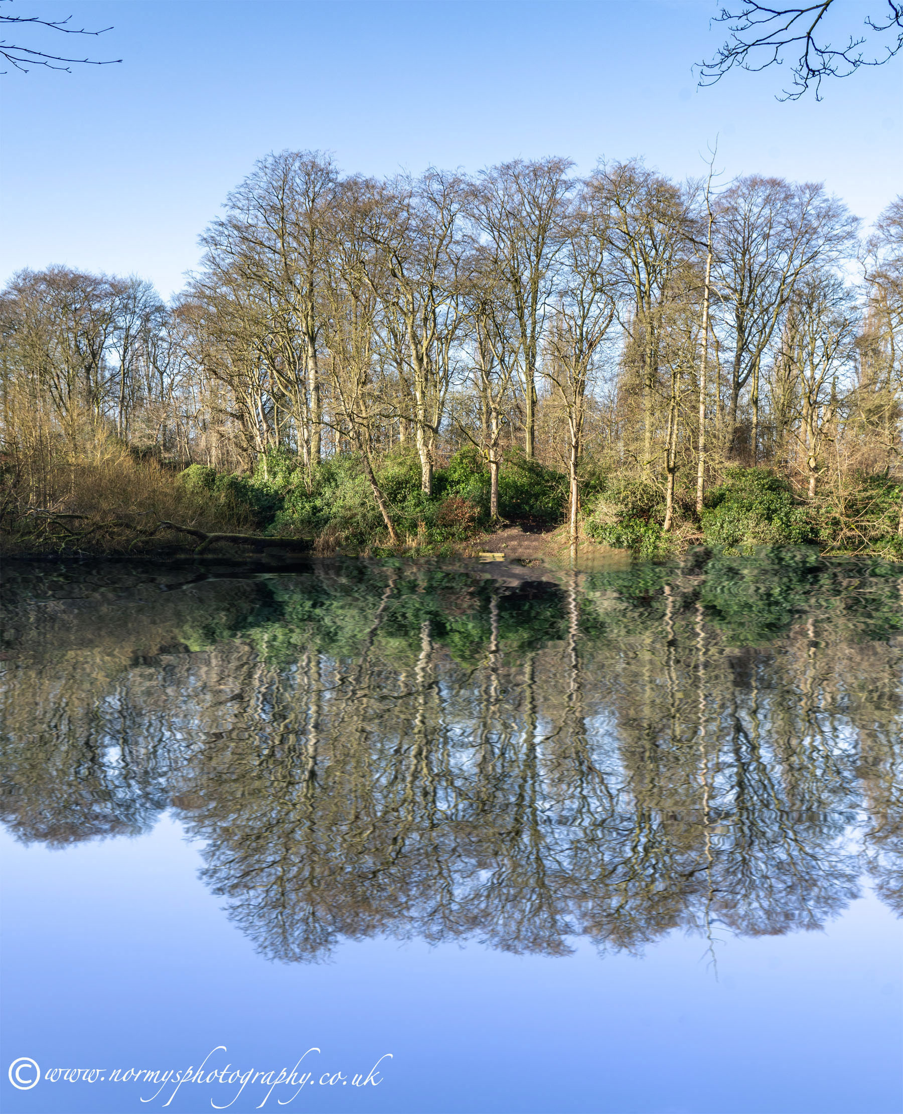 Reflection without fishing stage