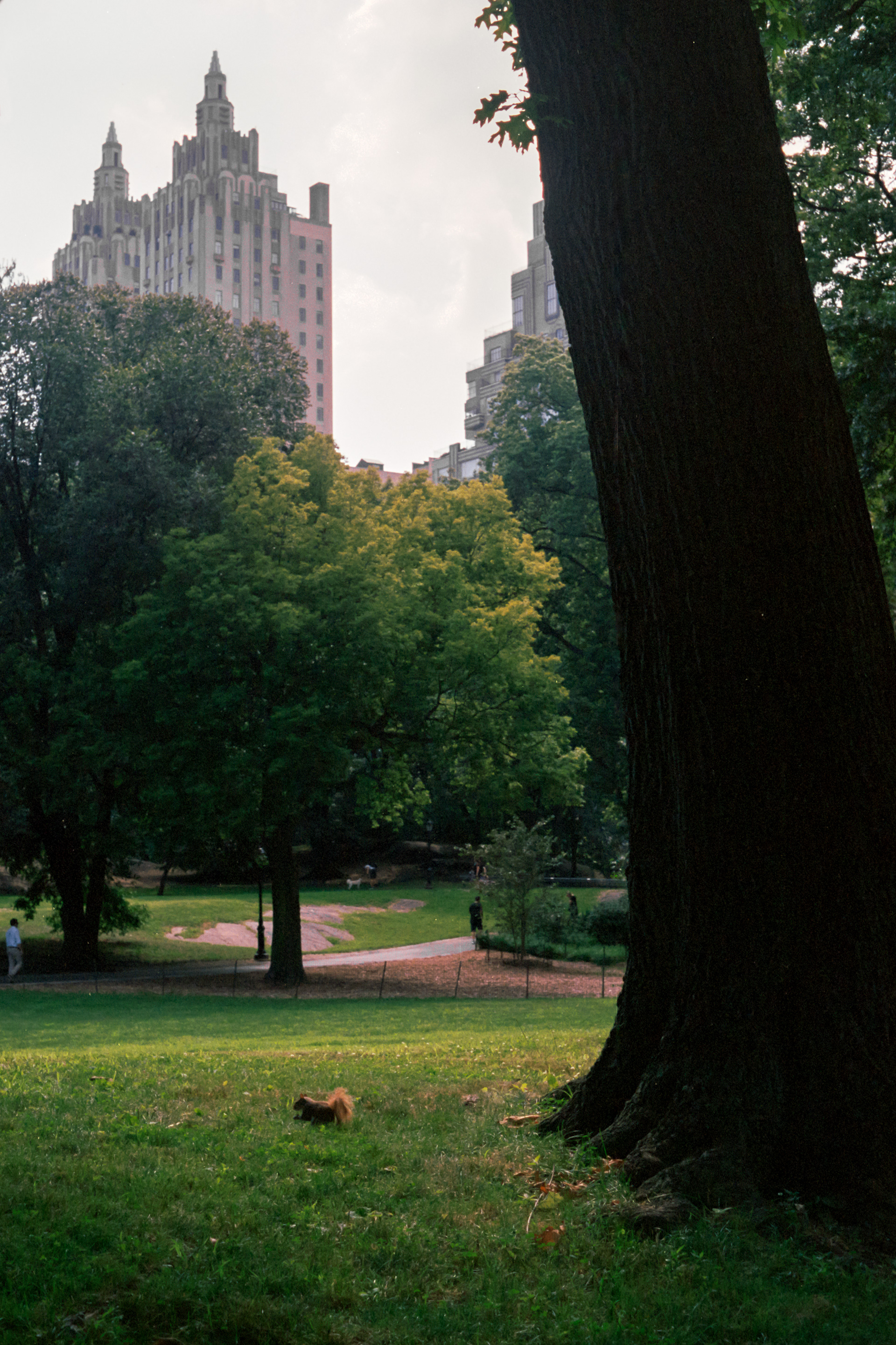Central Park