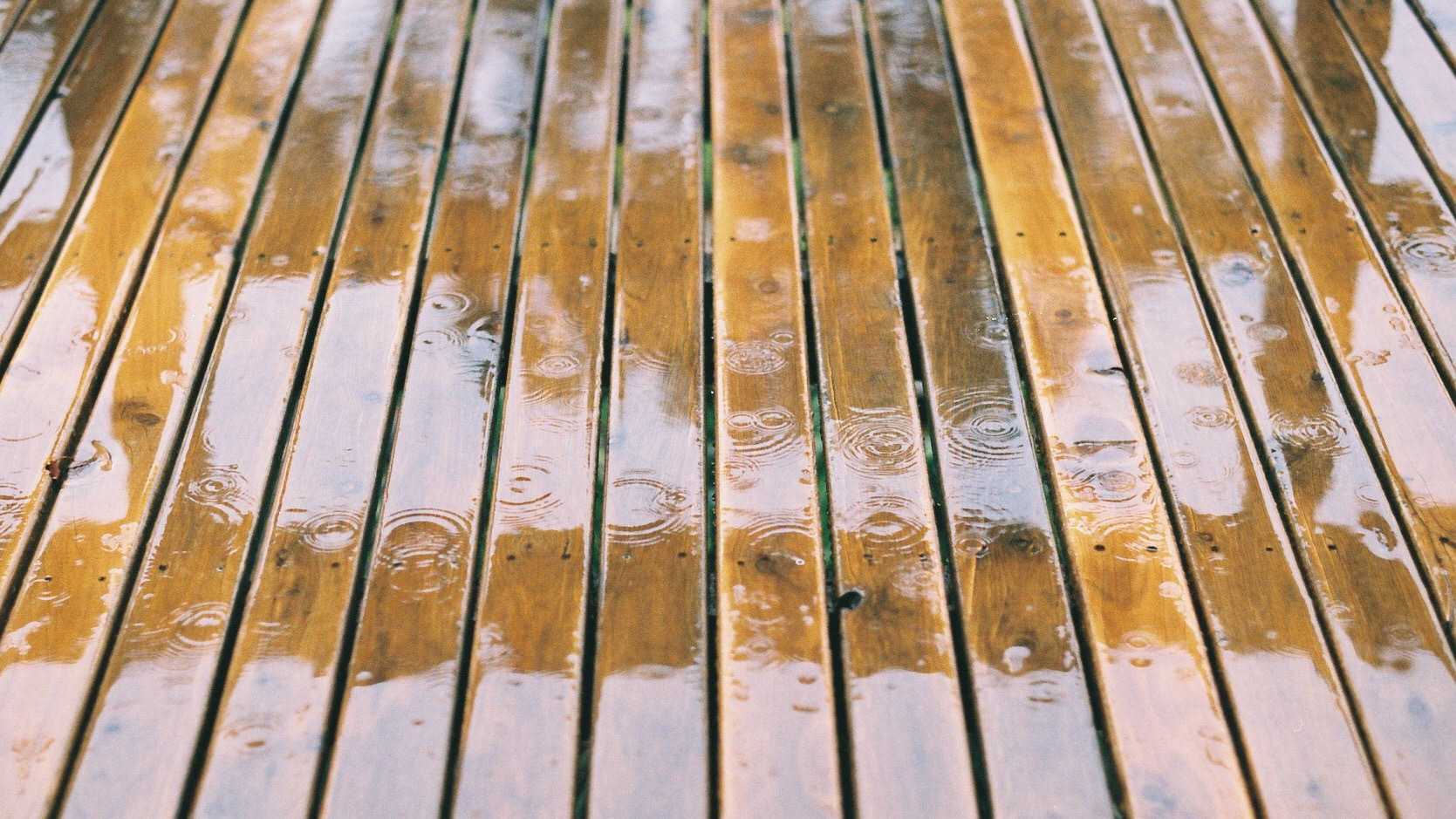 Raindrops
