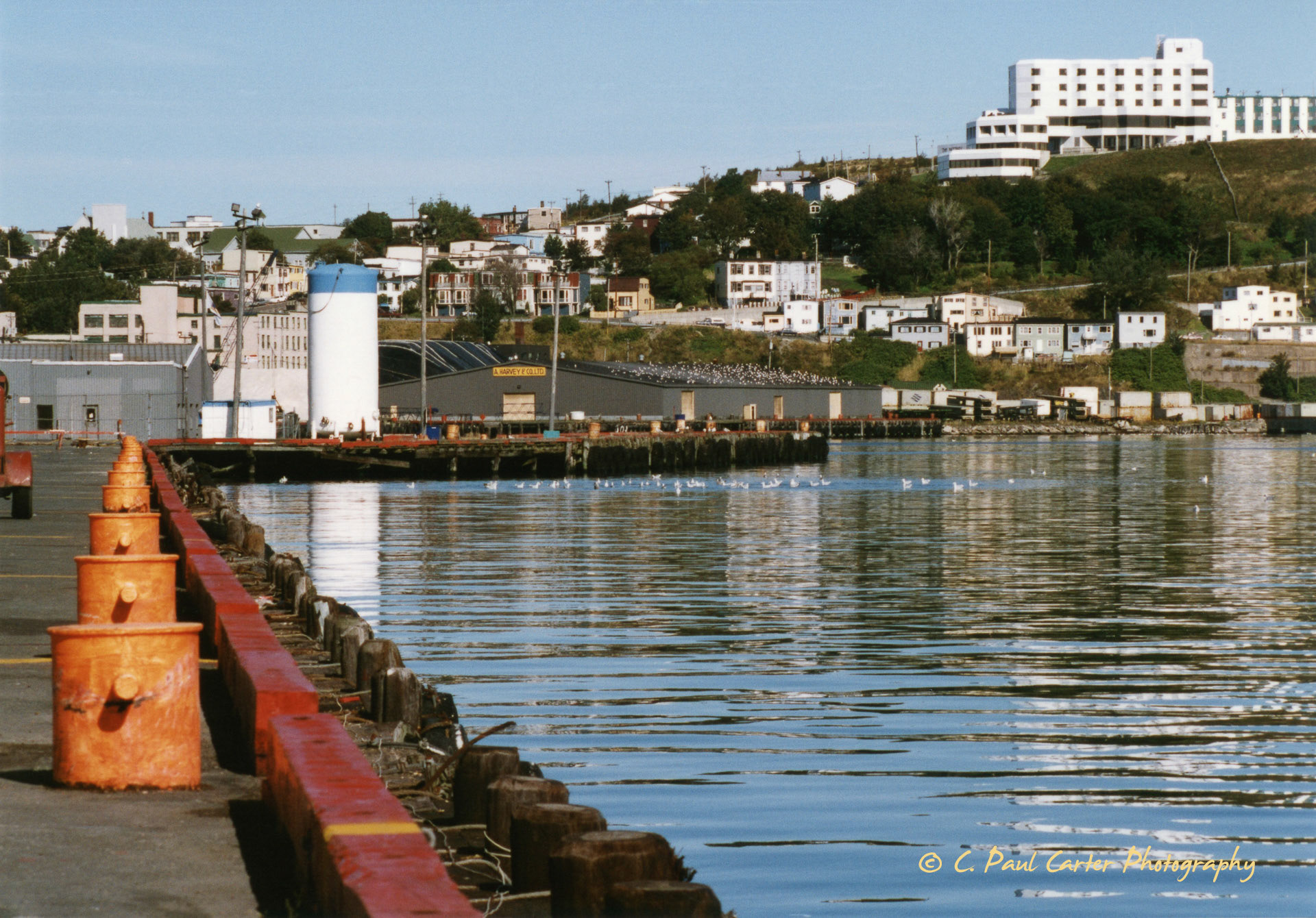 St. John's, NL