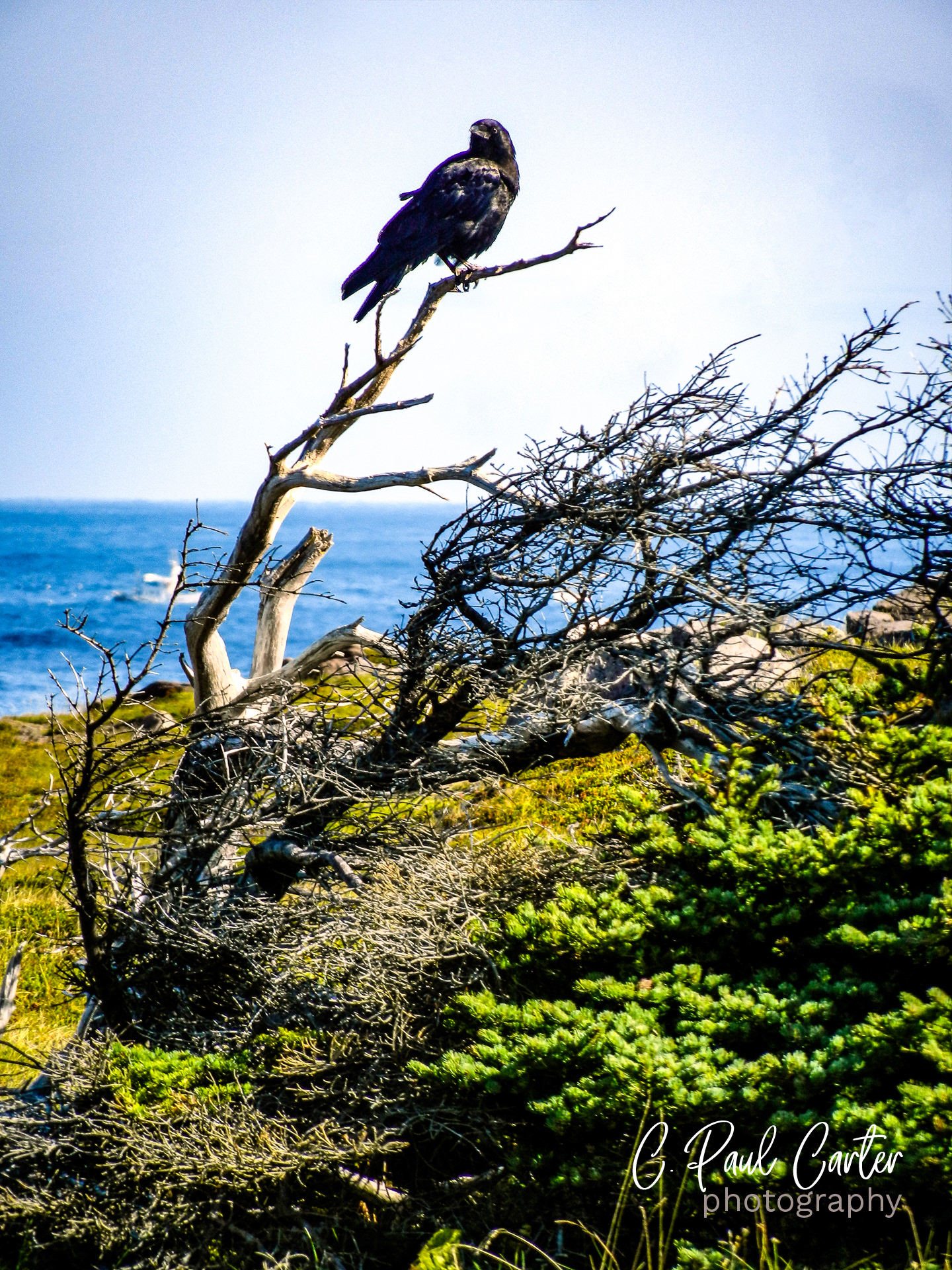 Cape Spear, NL
