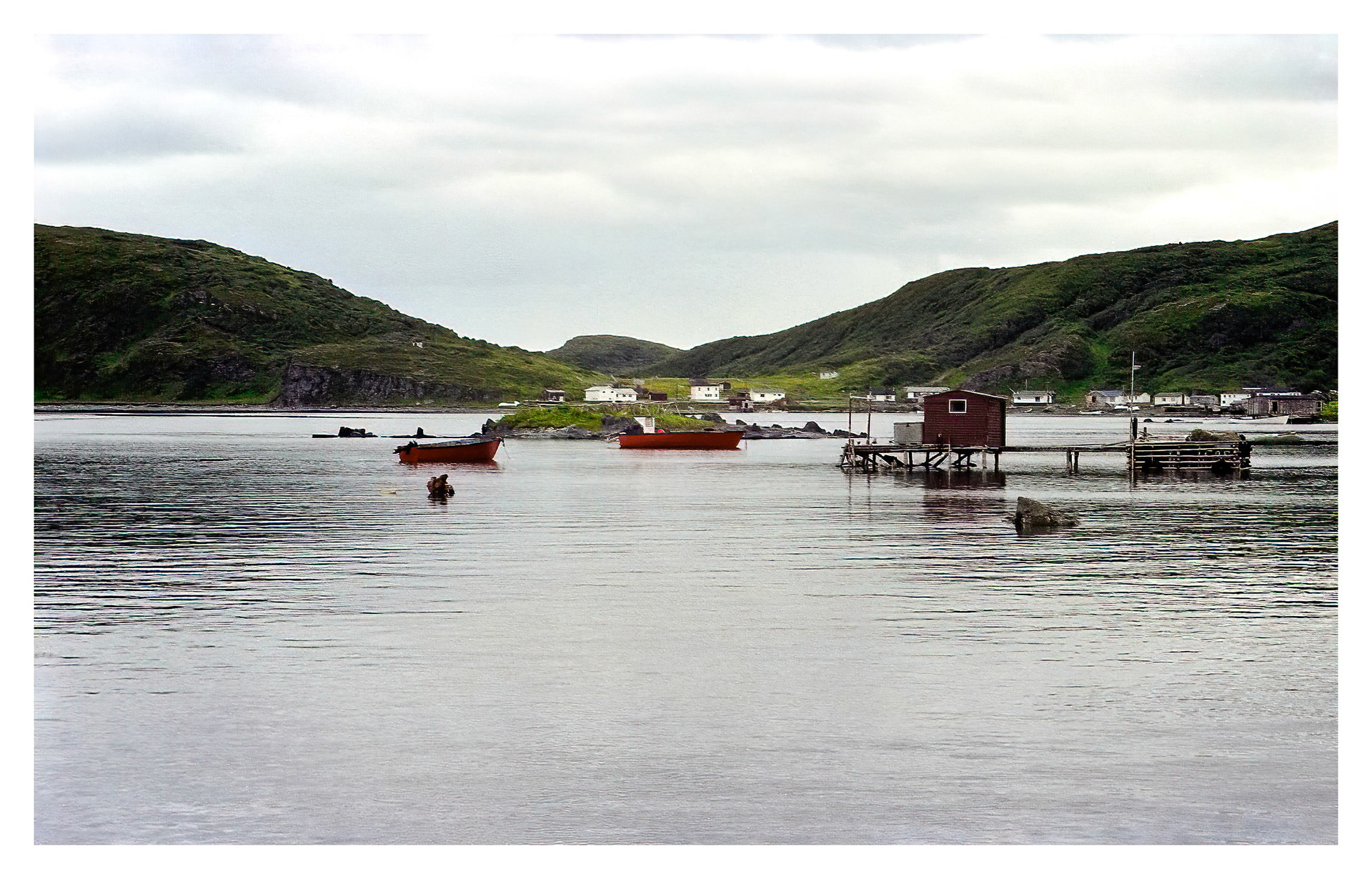 Newfoundland