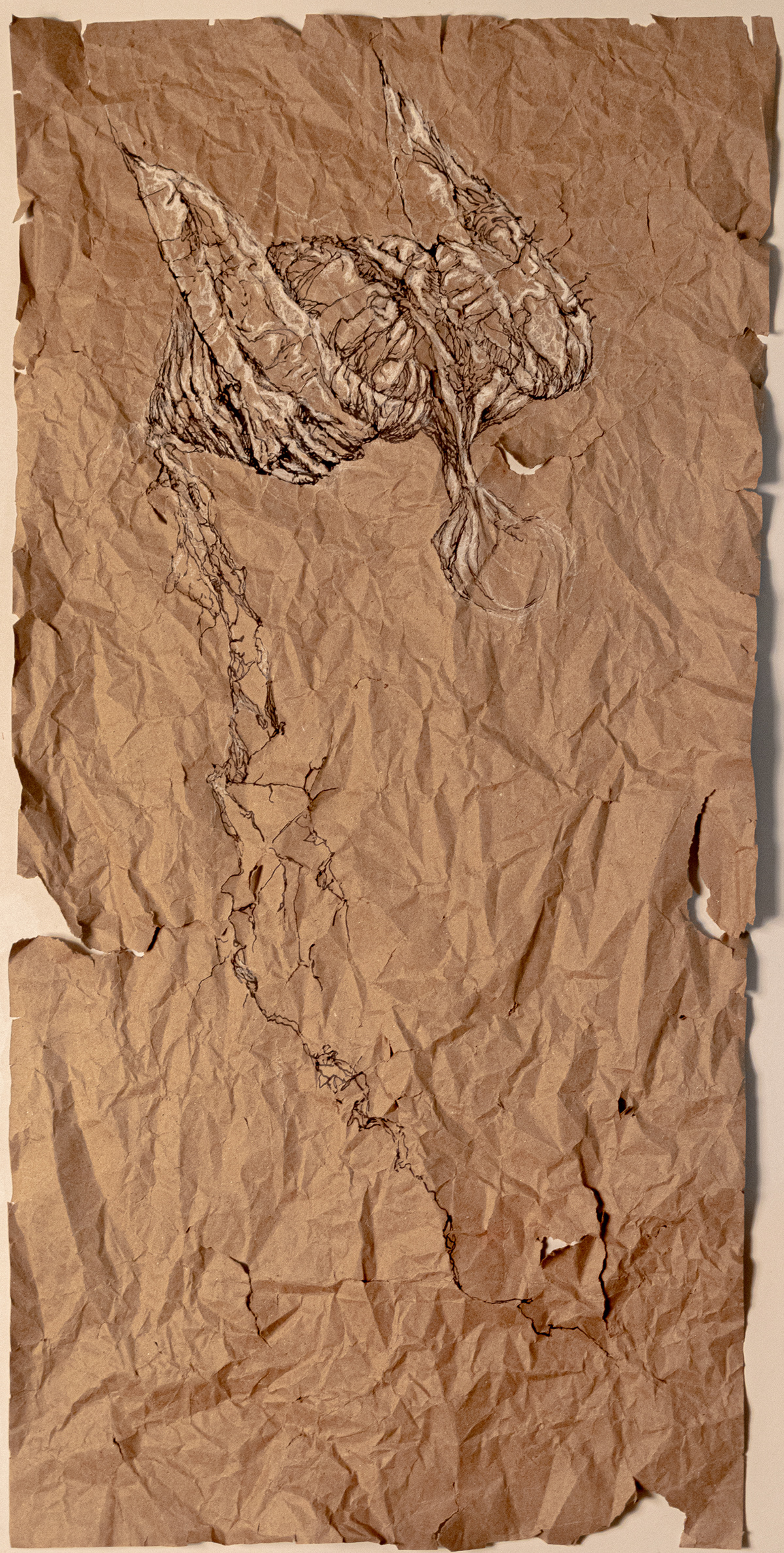 Holding It All Together. 15.5" x 32". Pen and white charcoal.