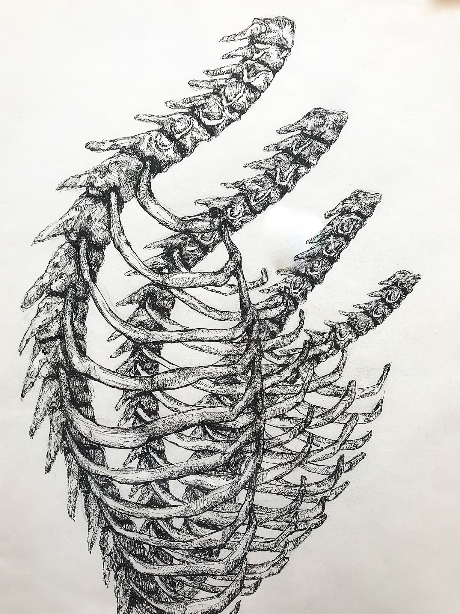 Internal Motivation. Black Pen. 7" x 14".