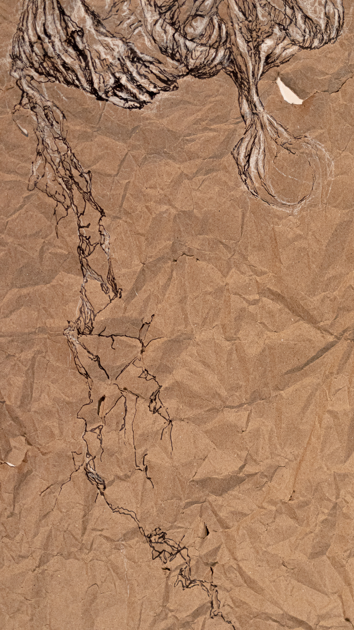 Holding It All Together. Detail 4.