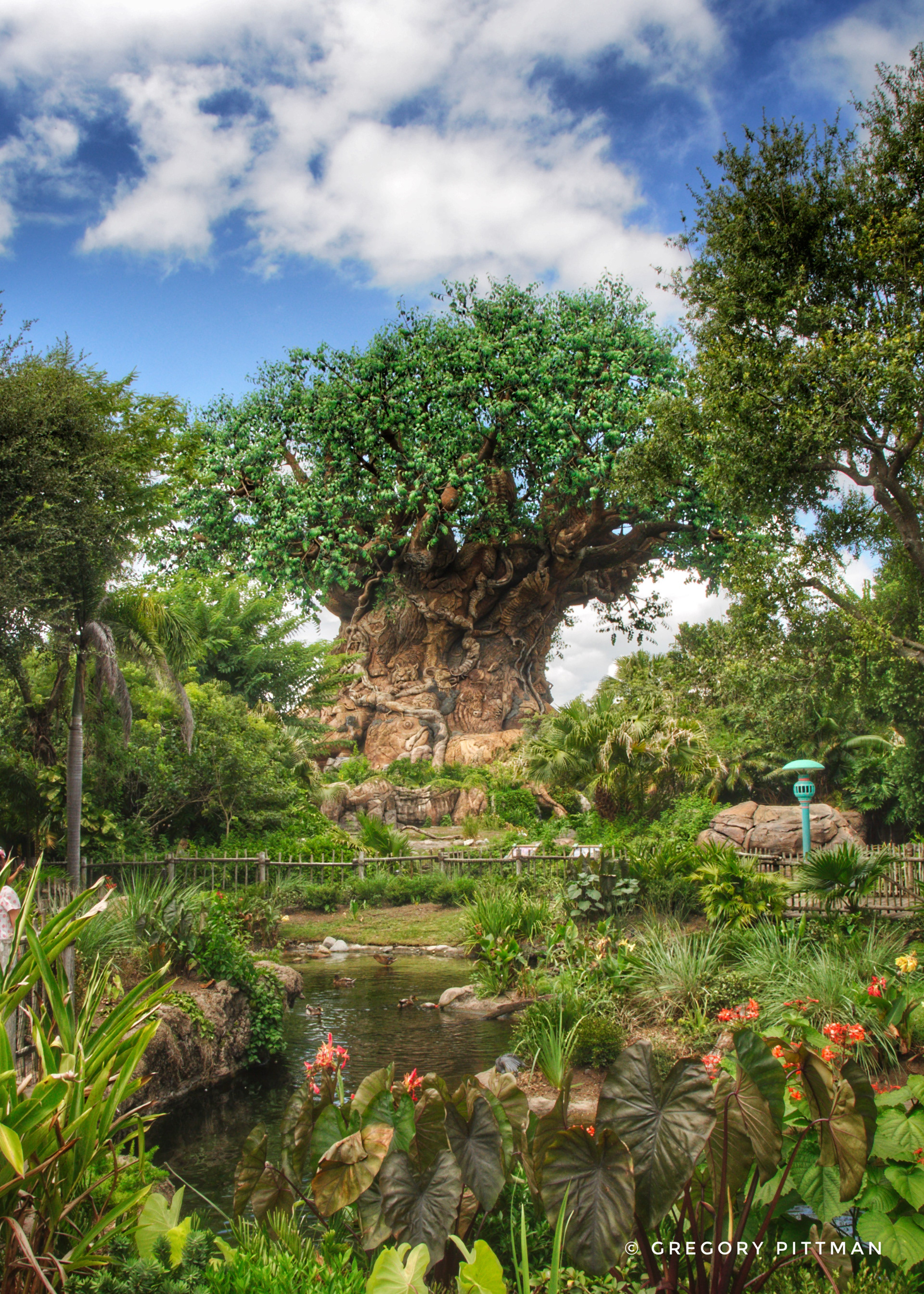 The Tree of Life