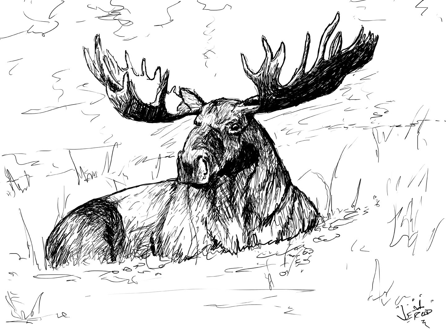 Moose